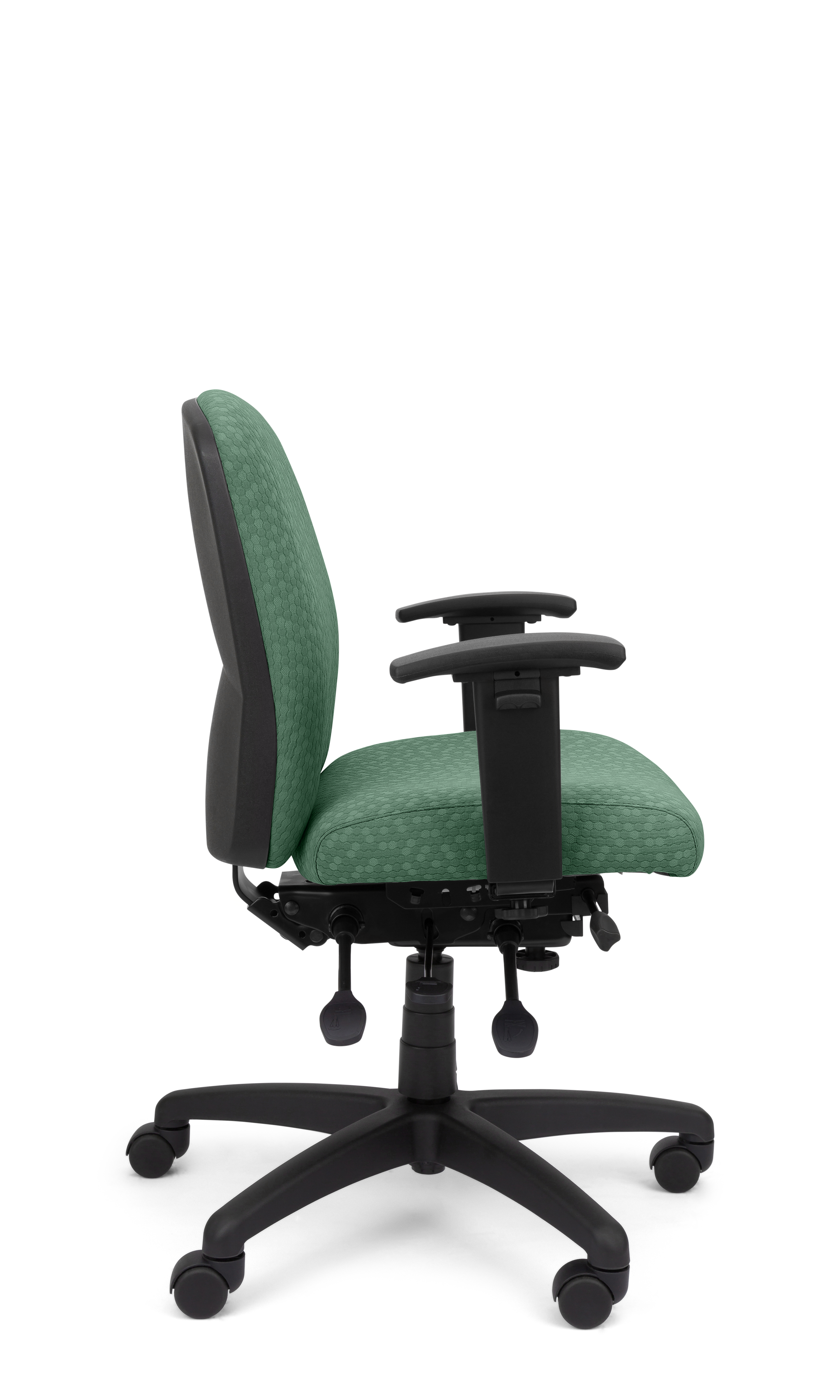 Rainier Cloud - Ergo-Comfort Task Chair