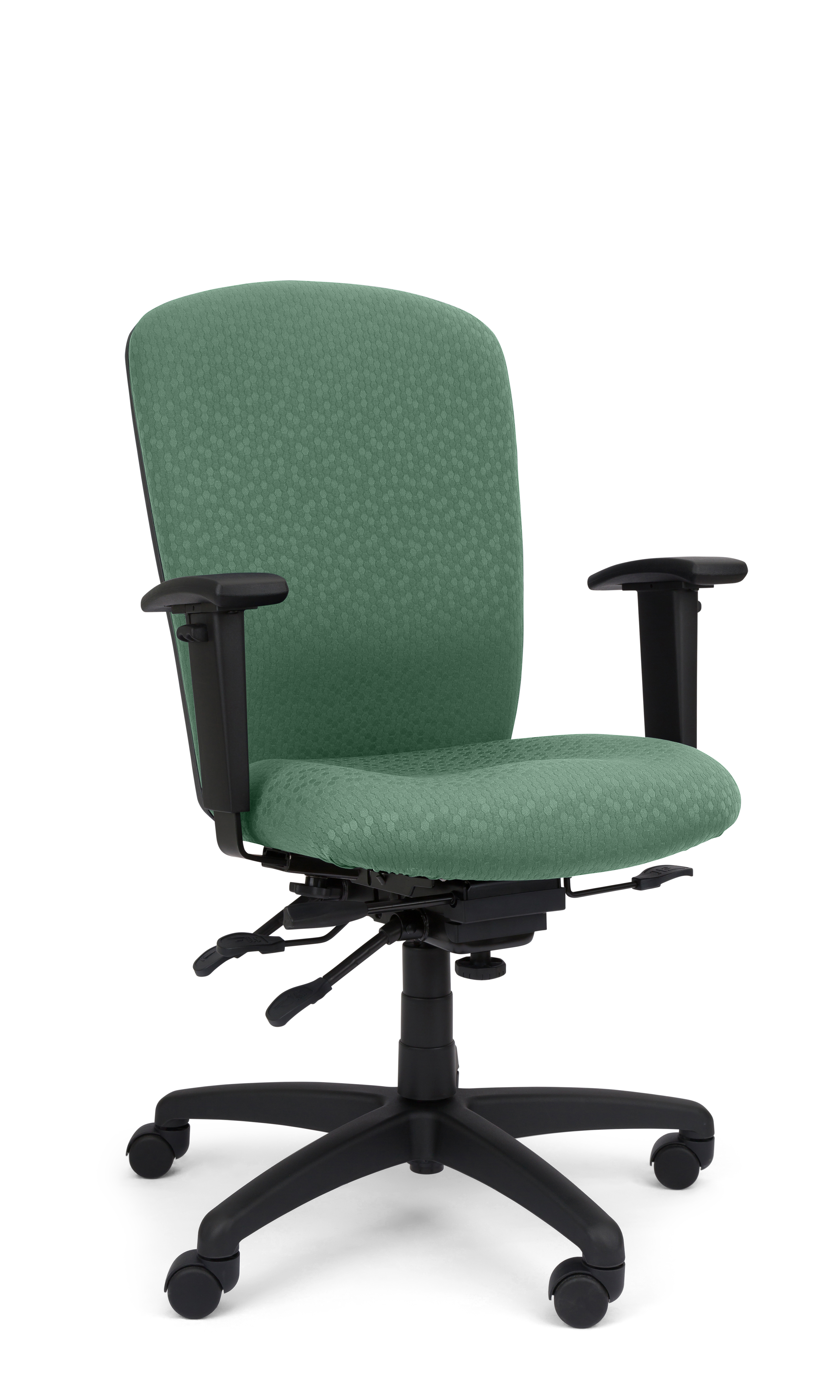 Rainier Cloud - Ergo-Comfort Task Chair