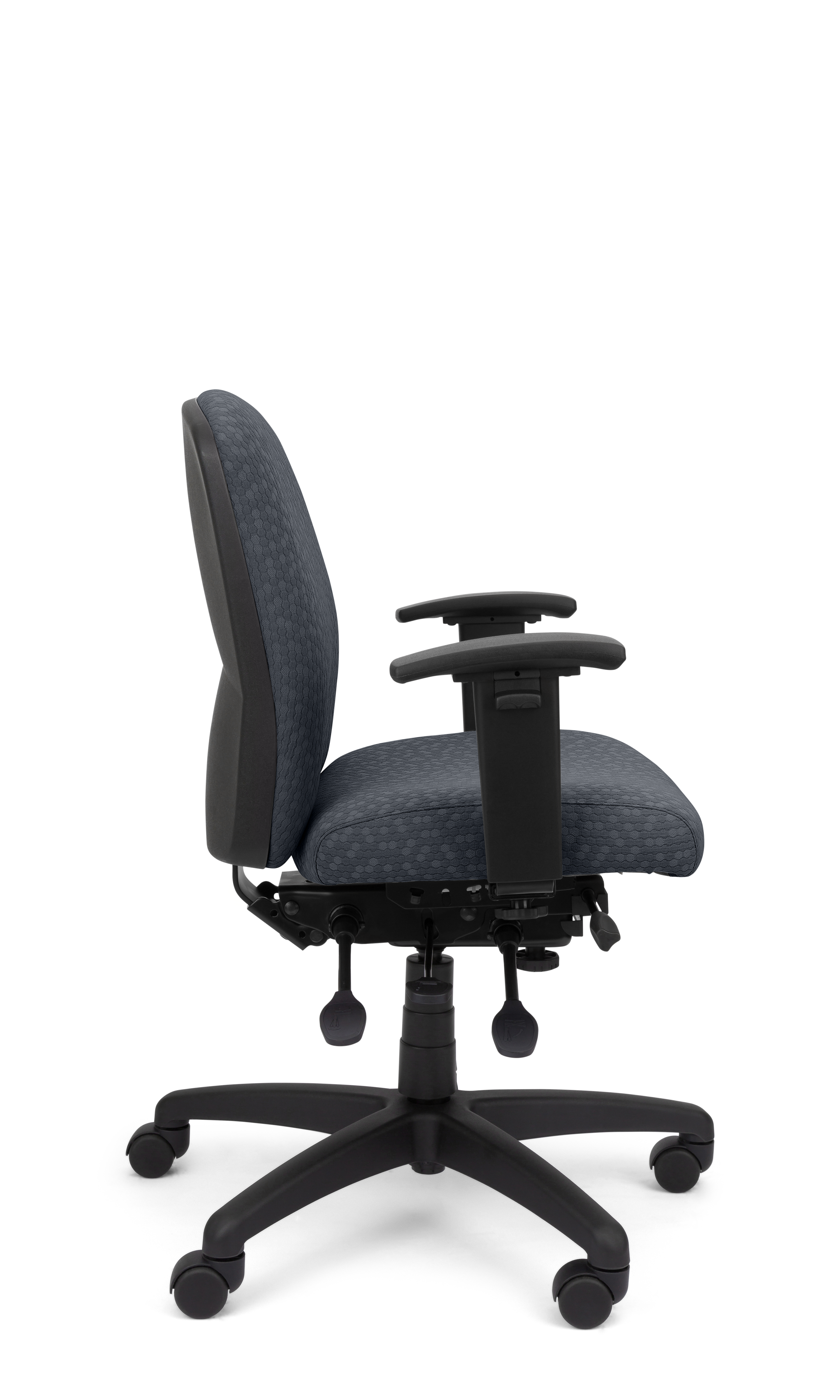 Rainier Cloud - Ergo-Comfort Task Chair