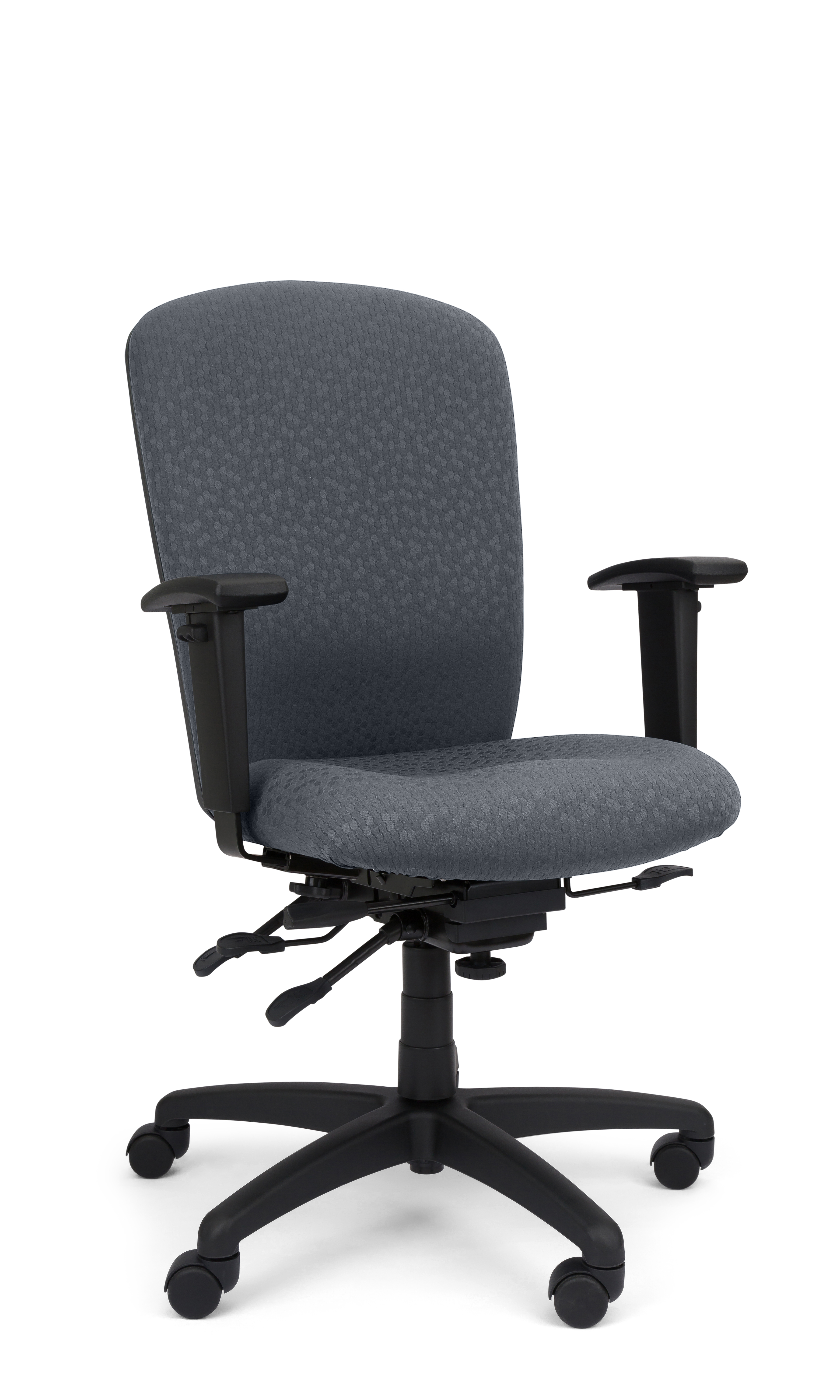 Rainier Cloud - Ergo-Comfort Task Chair