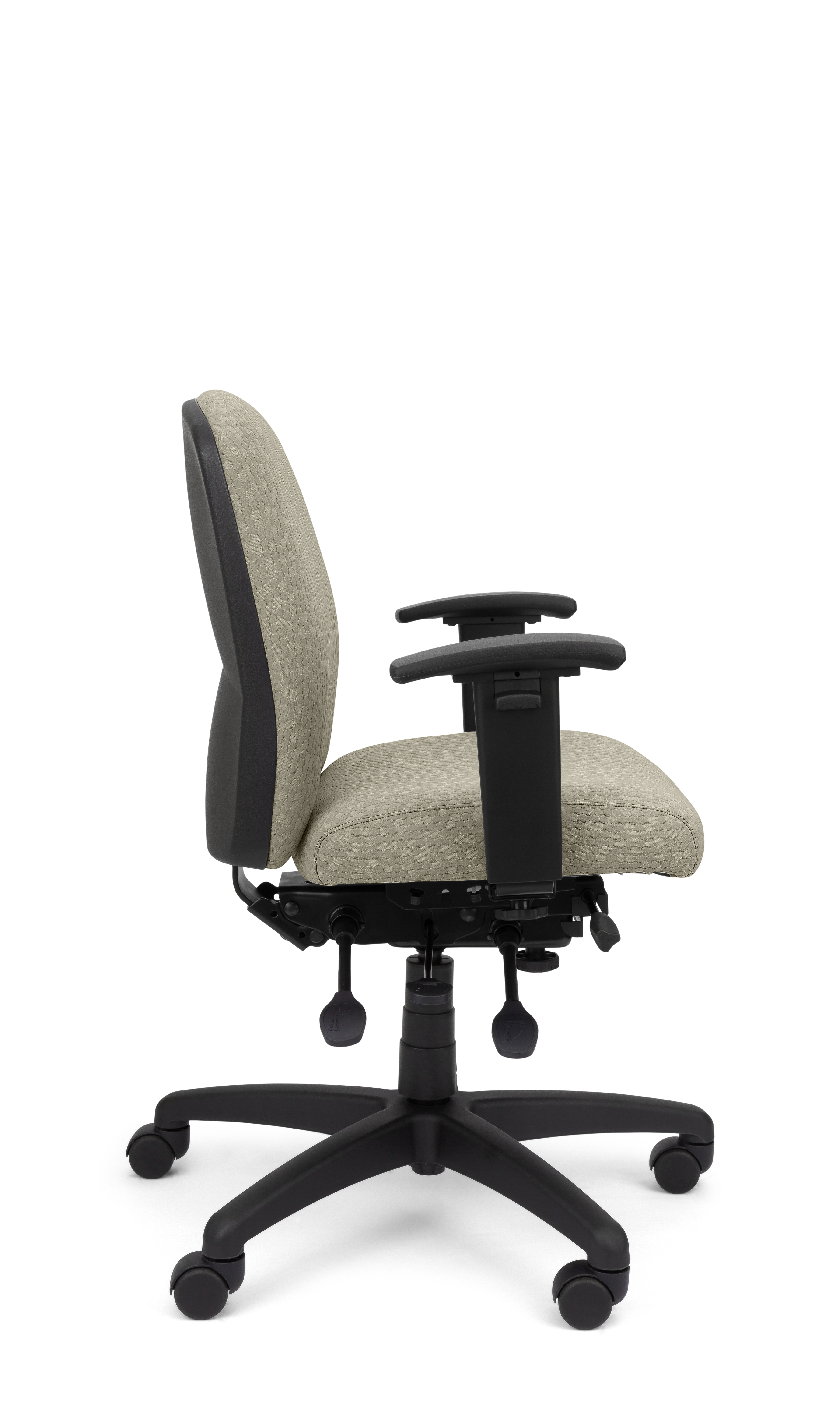 Rainier Cloud - Ergo-Comfort Task Chair