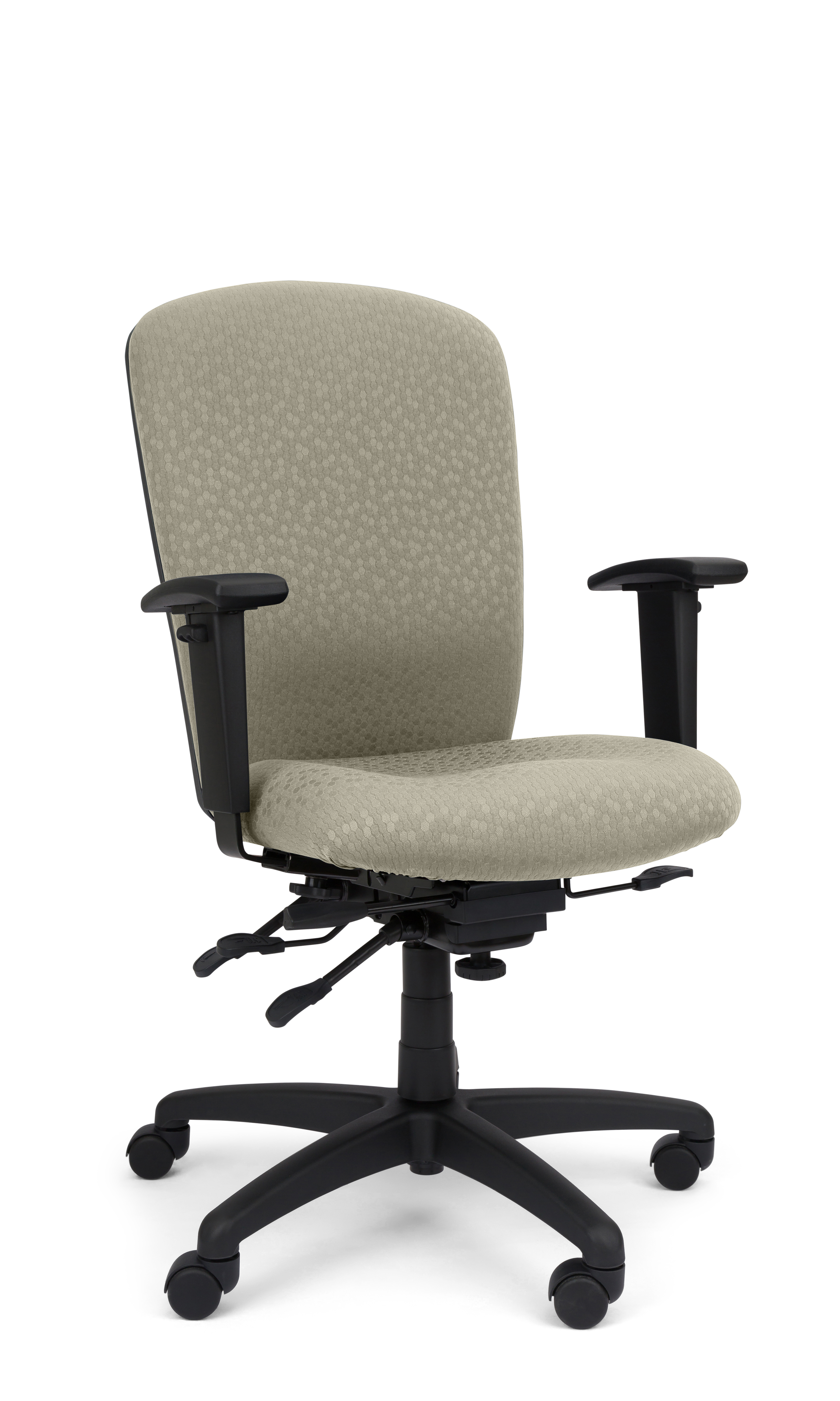 Rainier Cloud - Ergo-Comfort Task Chair