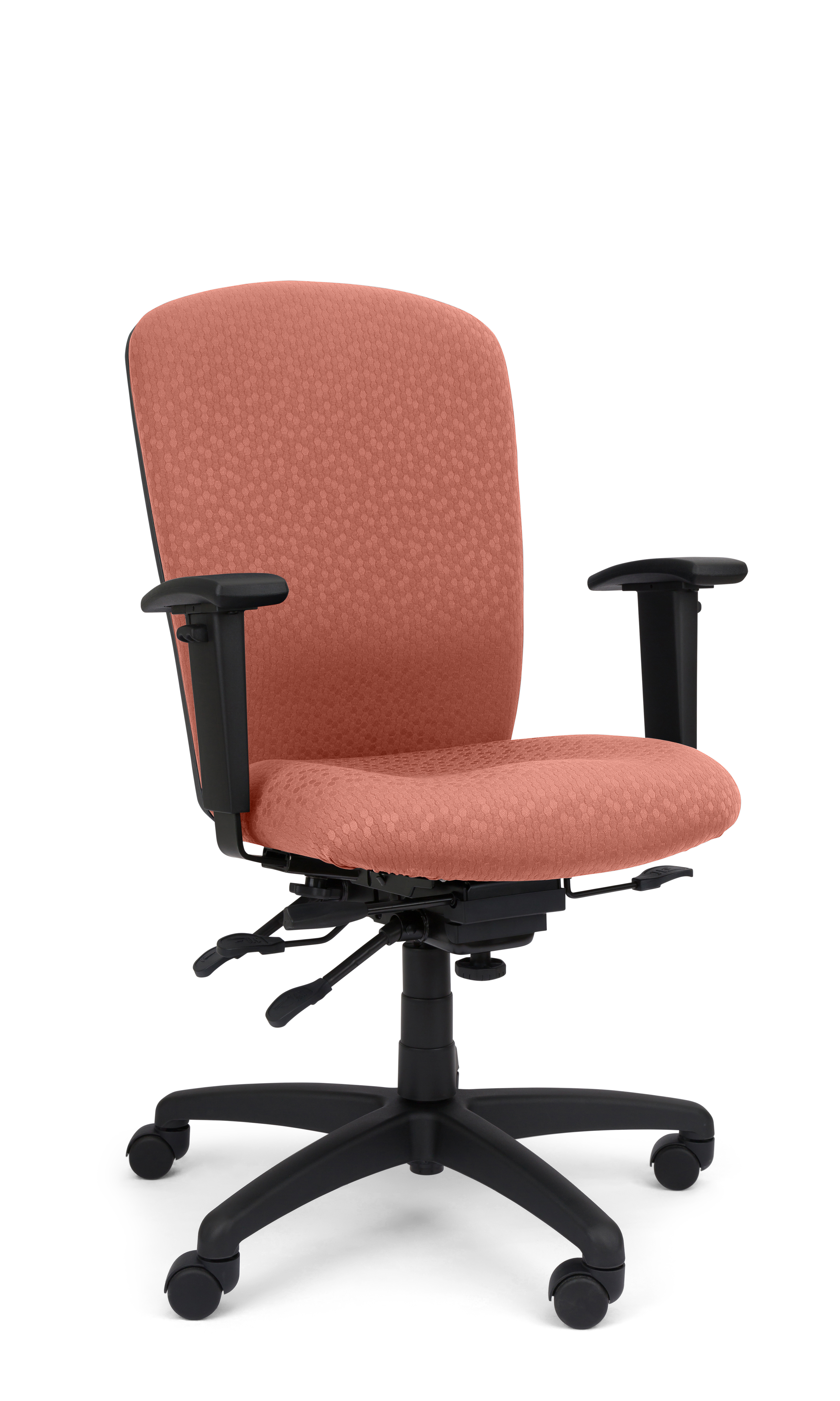 Rainier Cloud - Ergo-Comfort Task Chair