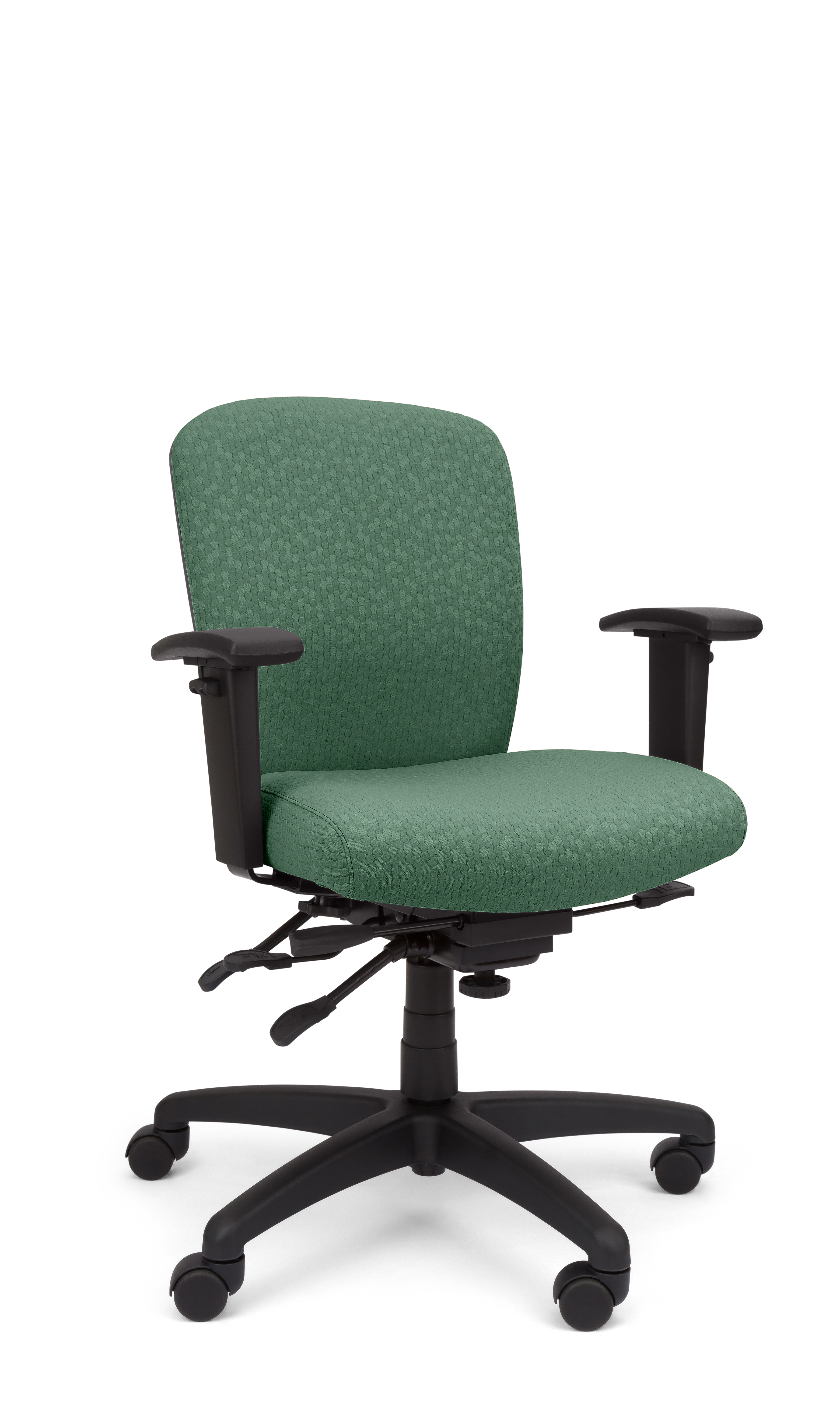 Rainier Cloud - Ergo-Comfort Task Chair