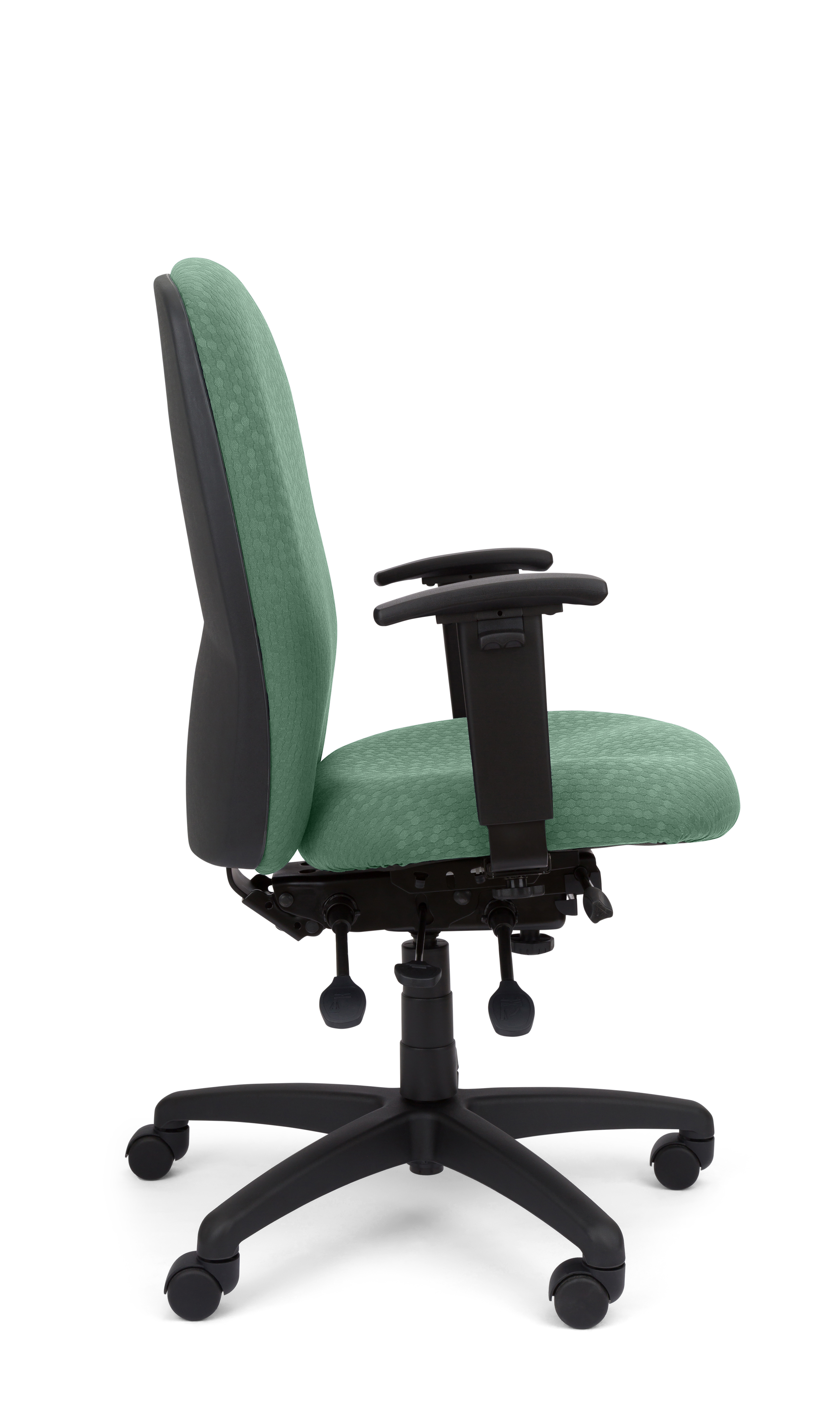 Rainier Cloud - Ergo-Comfort Task Chair