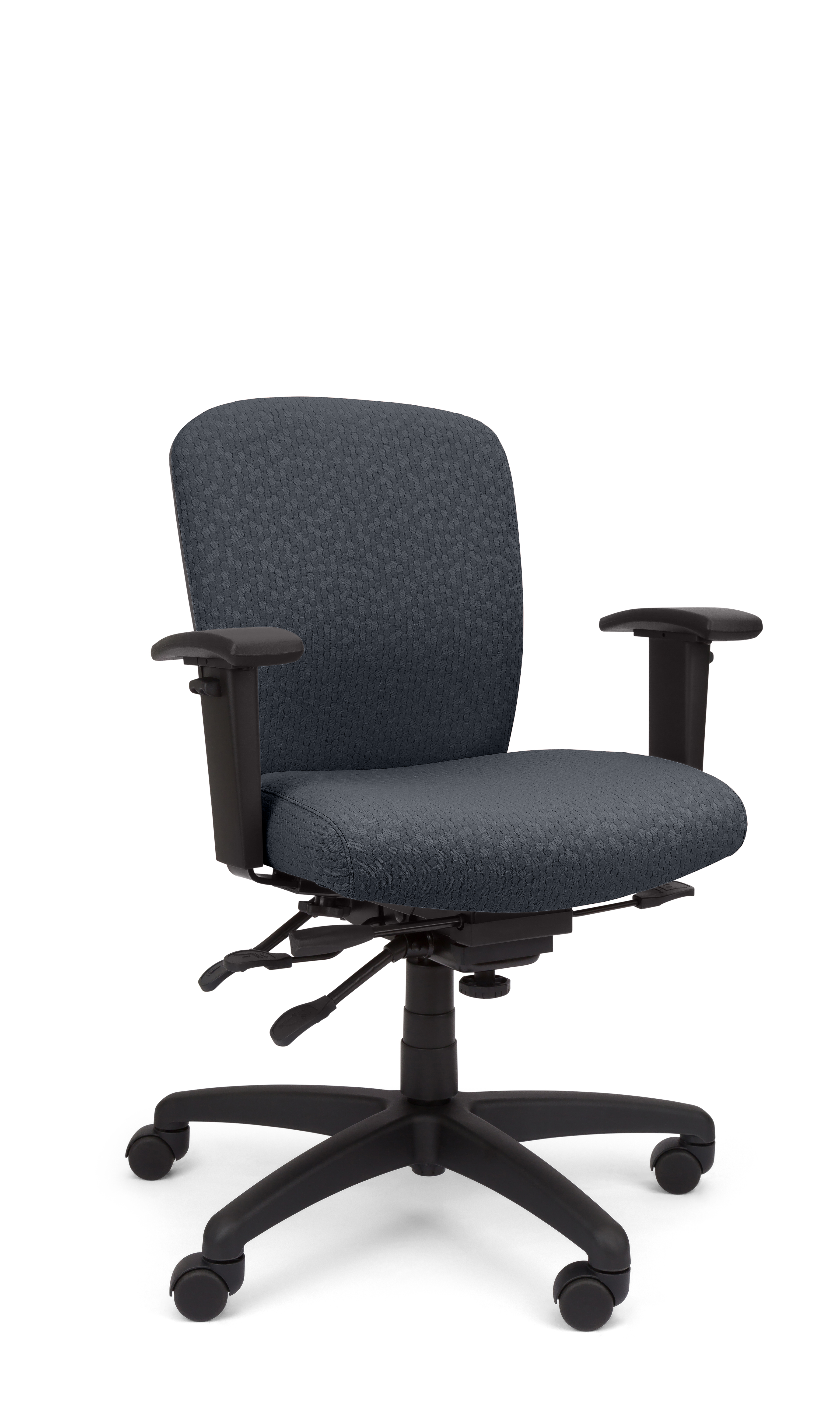 Rainier Cloud - Ergo-Comfort Task Chair
