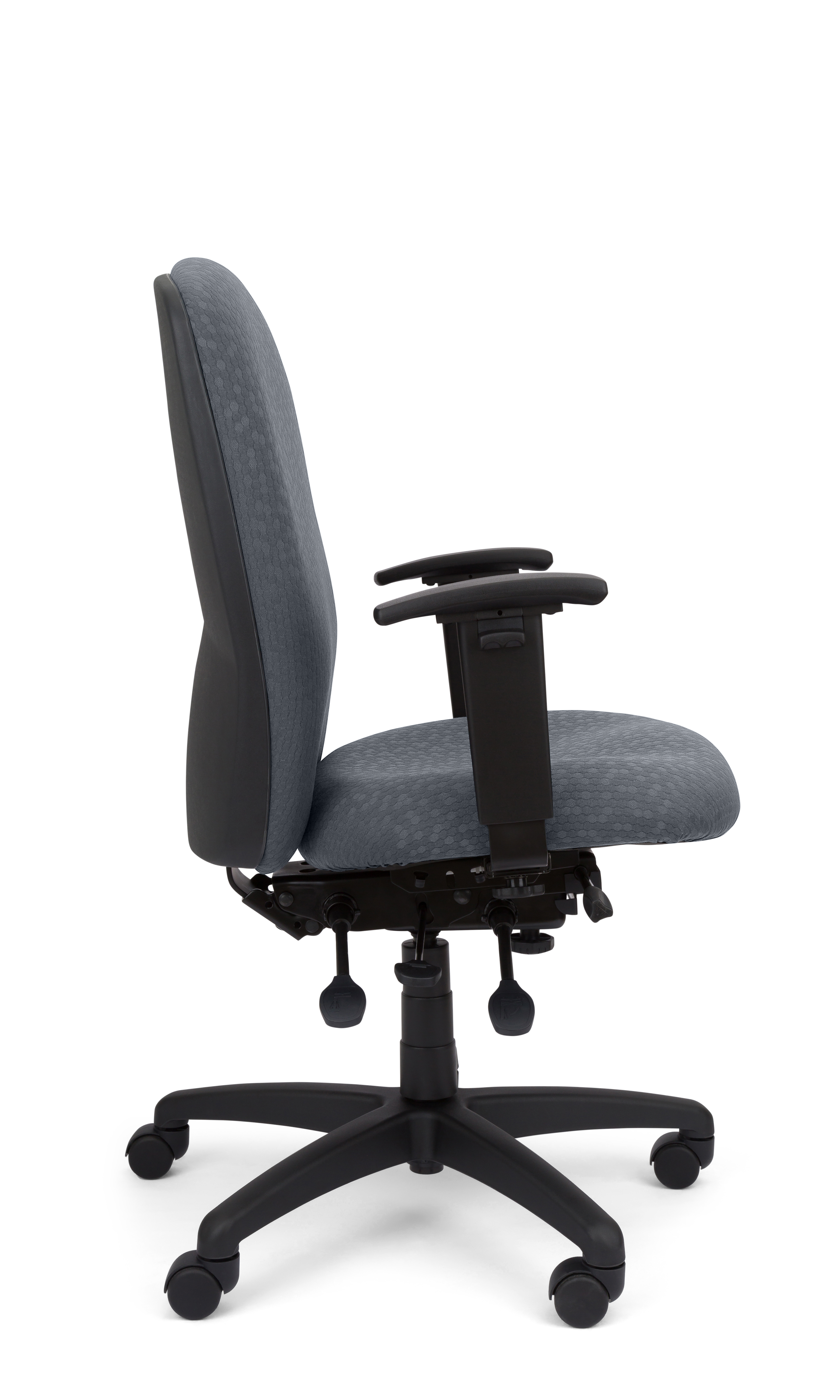 Rainier Cloud - Ergo-Comfort Task Chair
