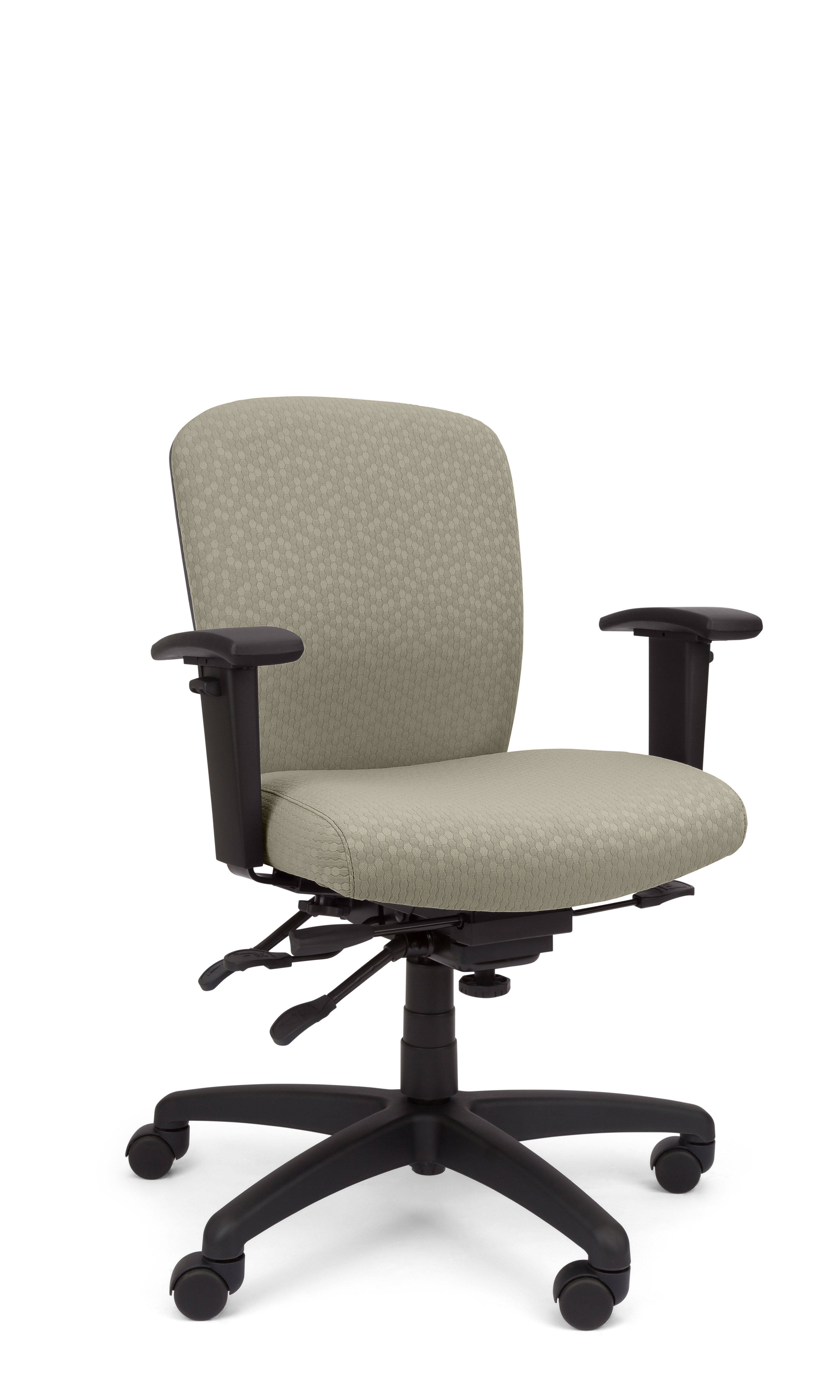 Rainier Cloud - Ergo-Comfort Task Chair