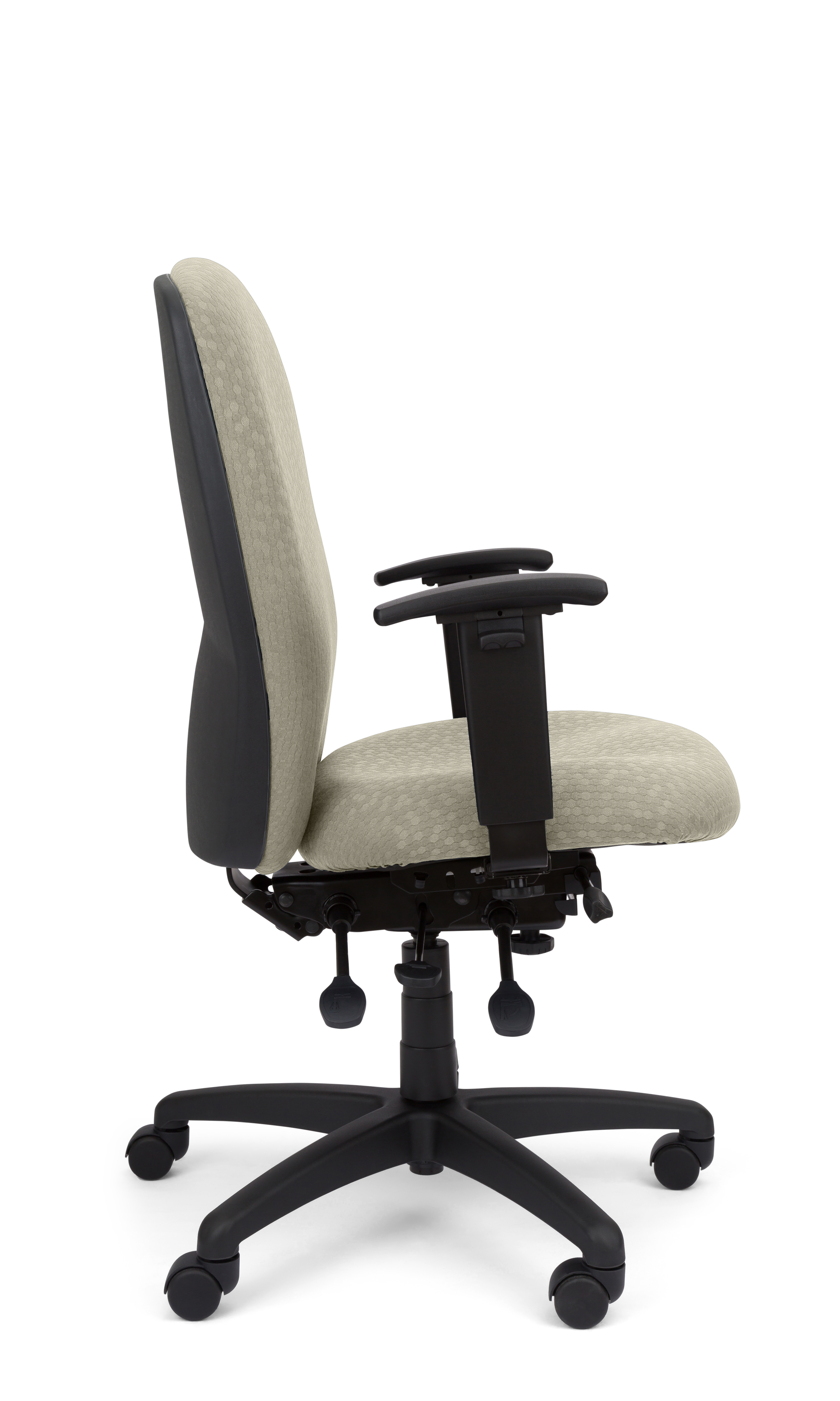 Rainier Cloud - Ergo-Comfort Task Chair