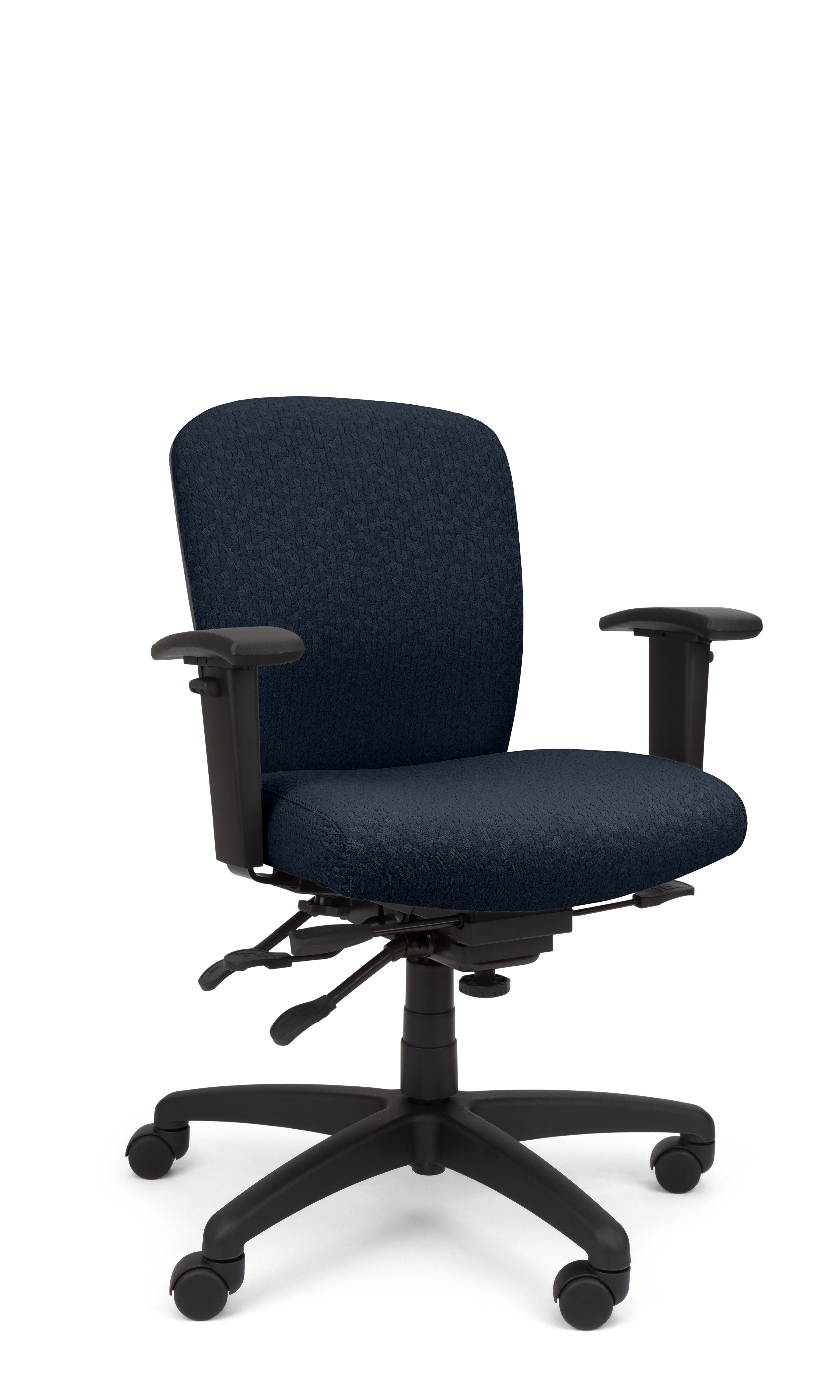Rainier Cloud - Ergo-Comfort Task Chair