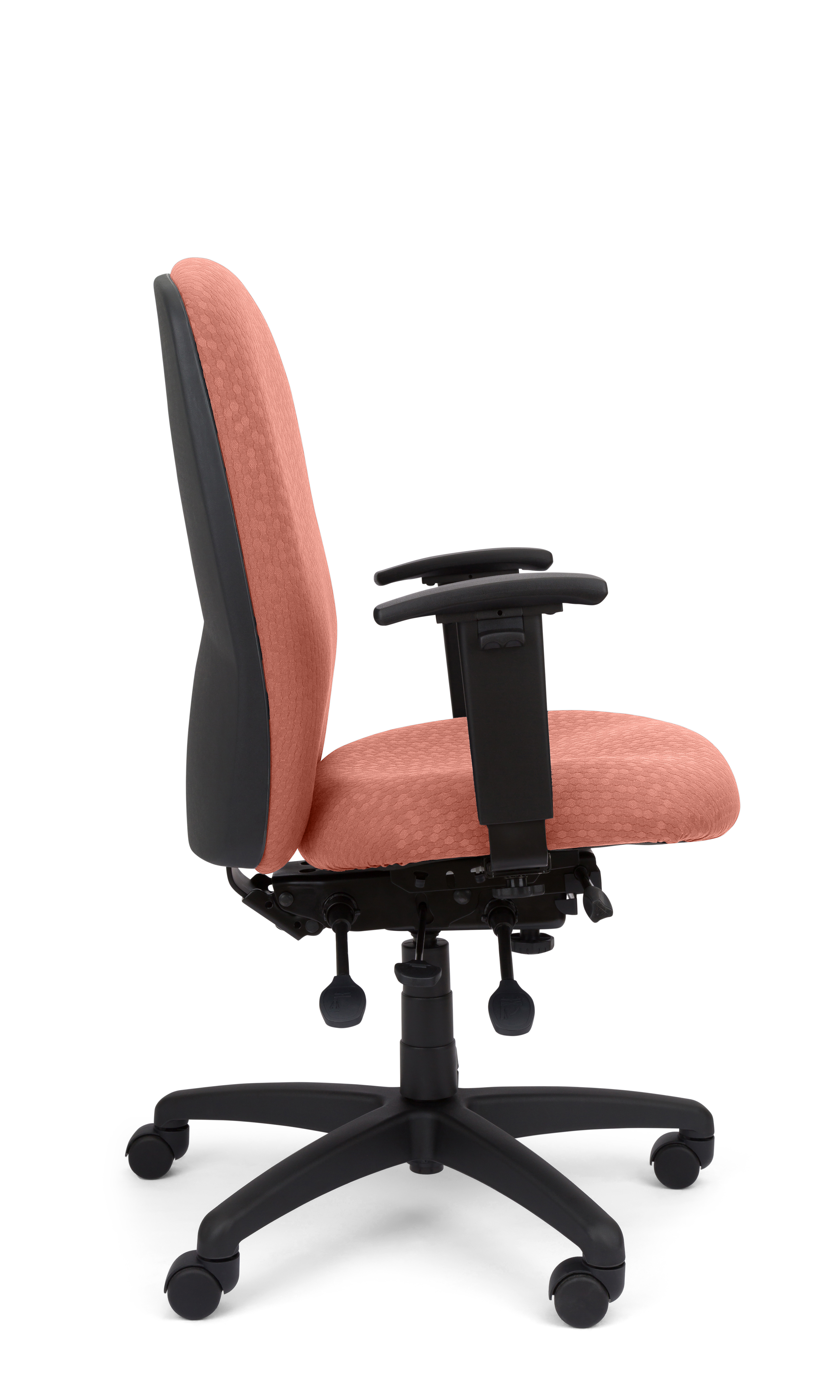 Rainier Cloud - Ergo-Comfort Task Chair