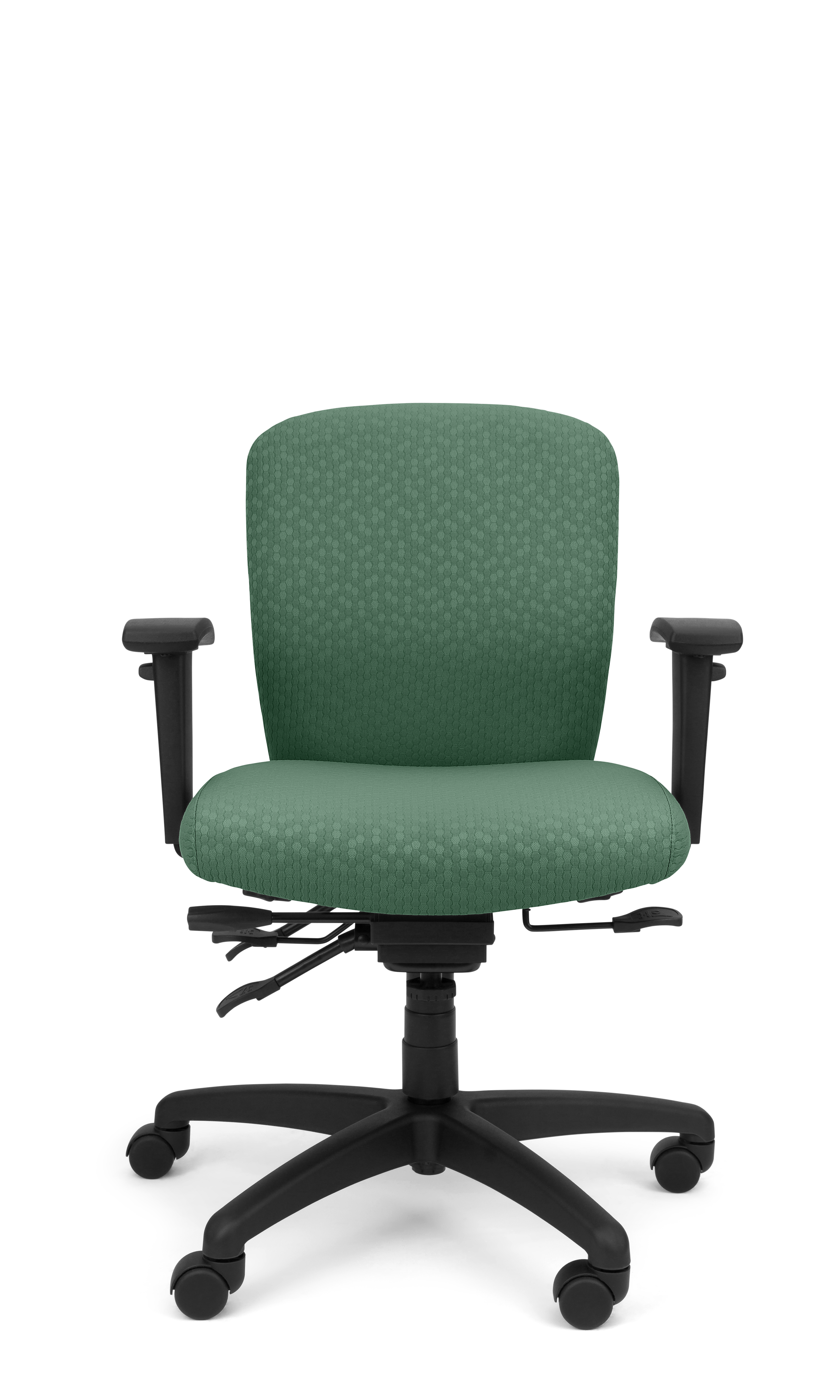 Rainier Cloud - Ergo-Comfort Task Chair