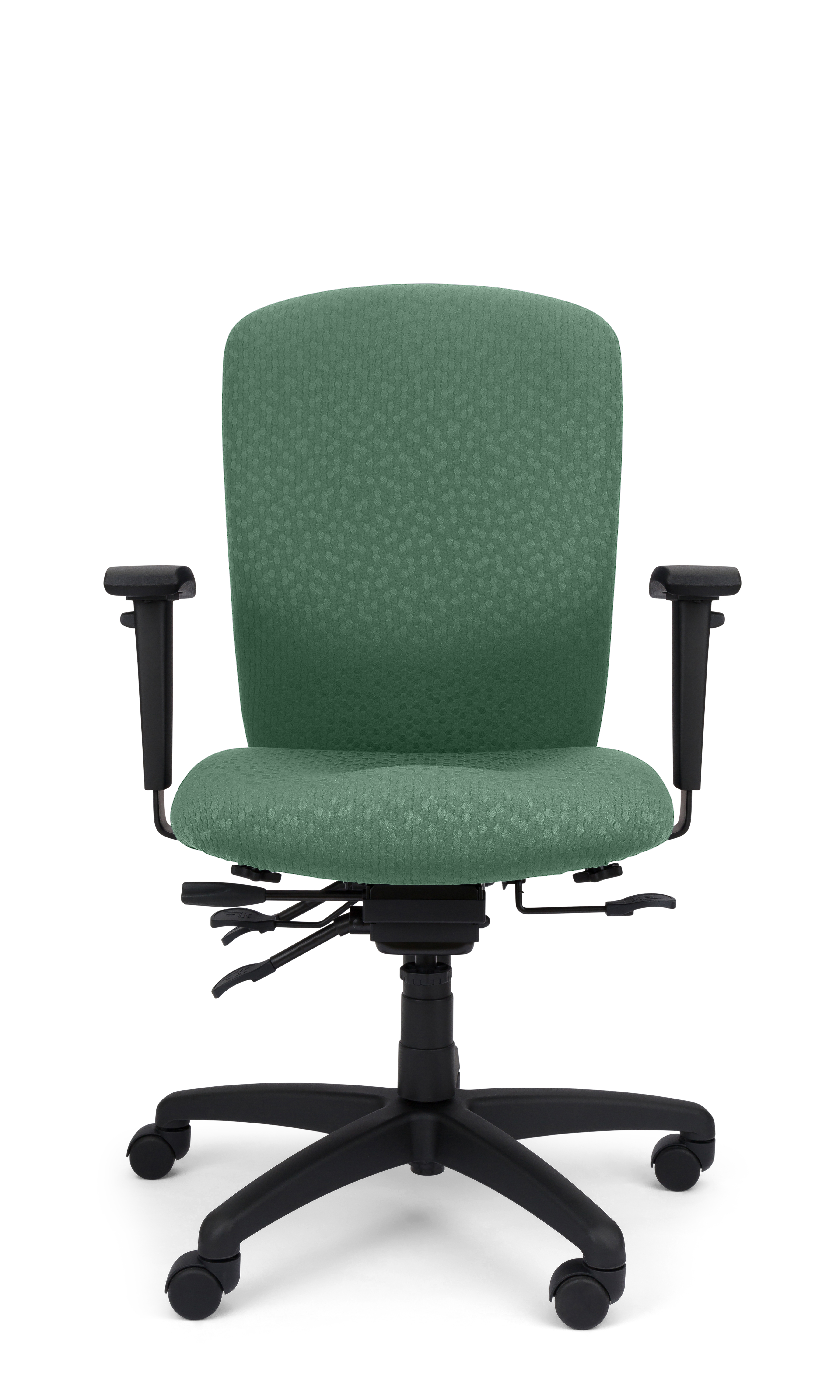 Rainier Cloud - Ergo-Comfort Task Chair
