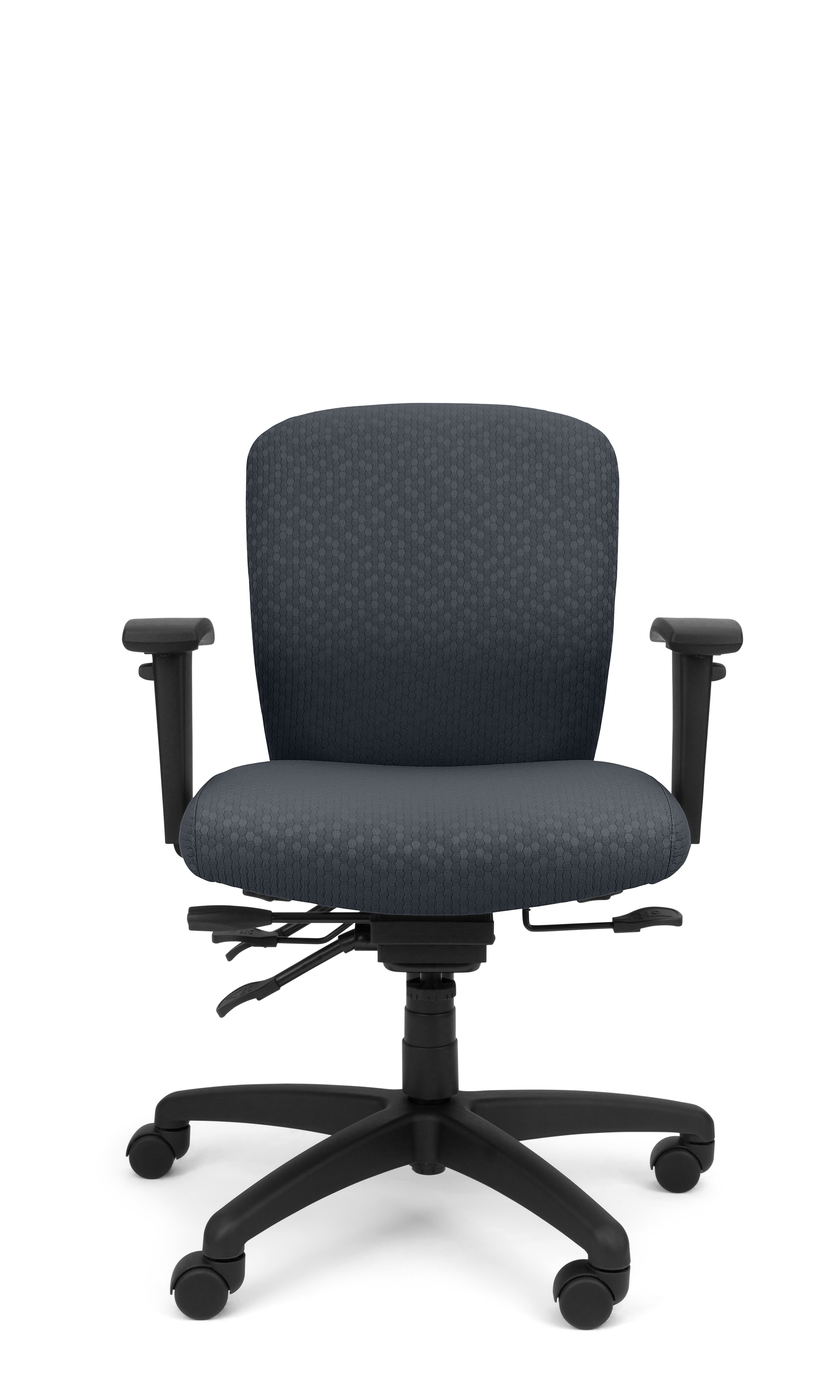 Rainier Cloud - Ergo-Comfort Task Chair