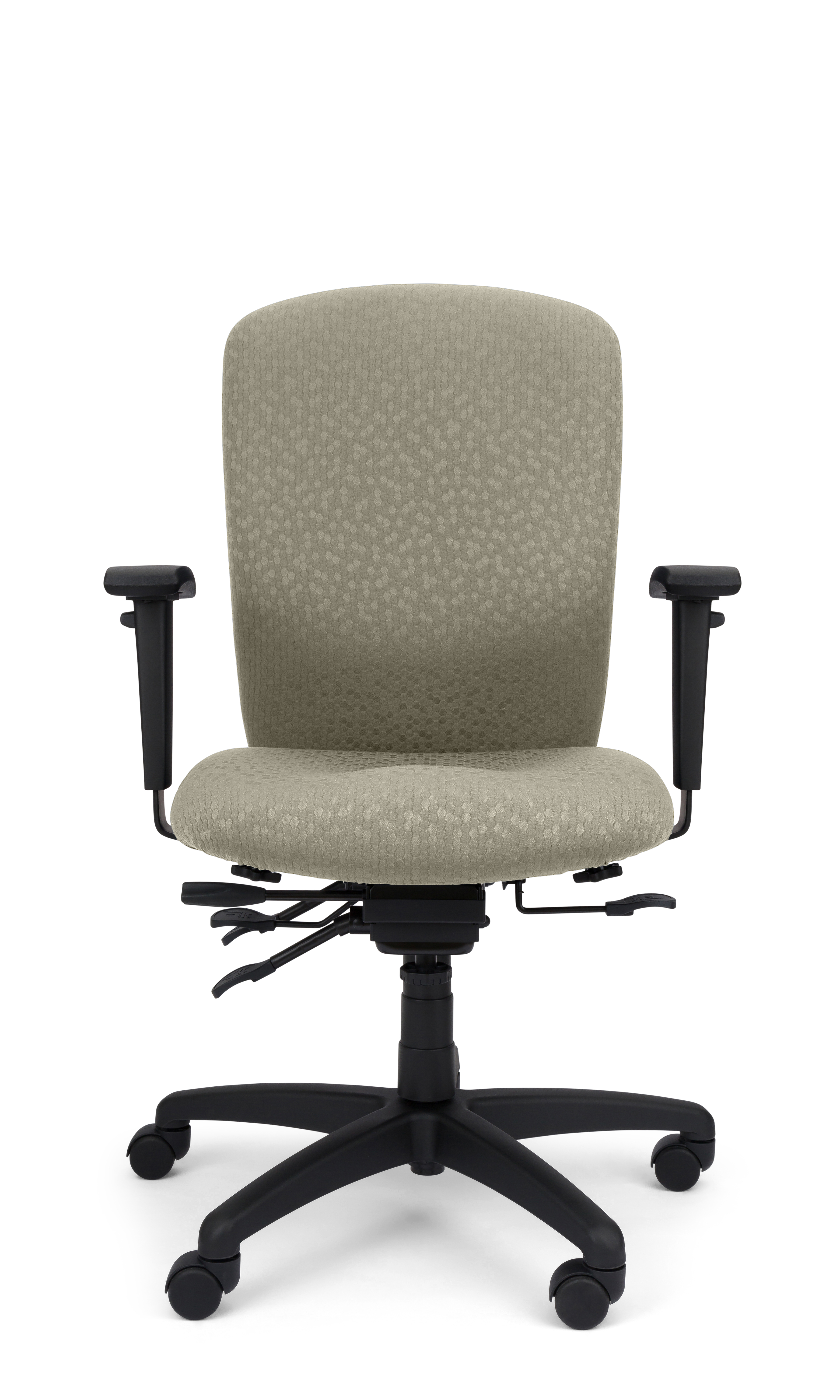 Rainier Cloud - Ergo-Comfort Task Chair