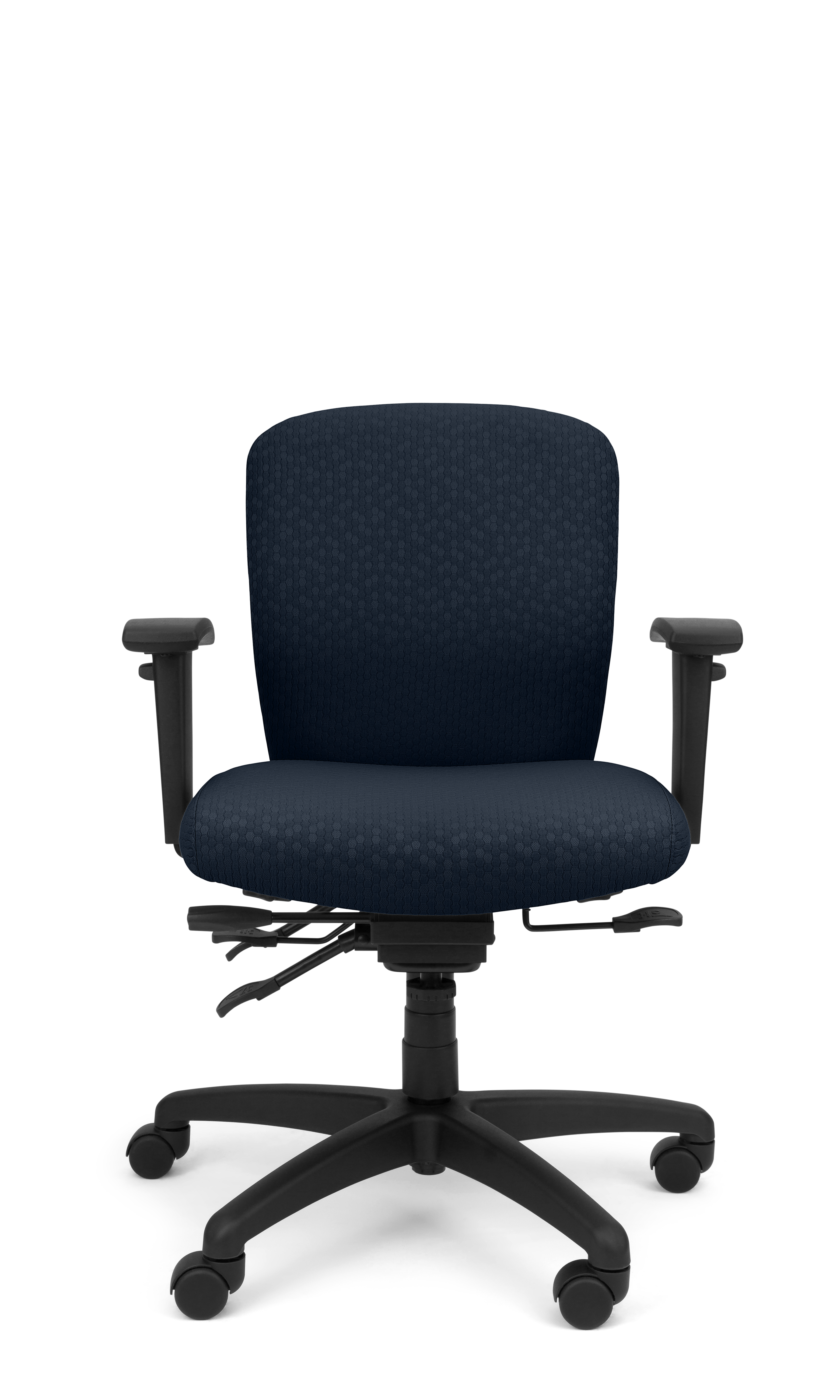 Rainier Cloud - Ergo-Comfort Task Chair