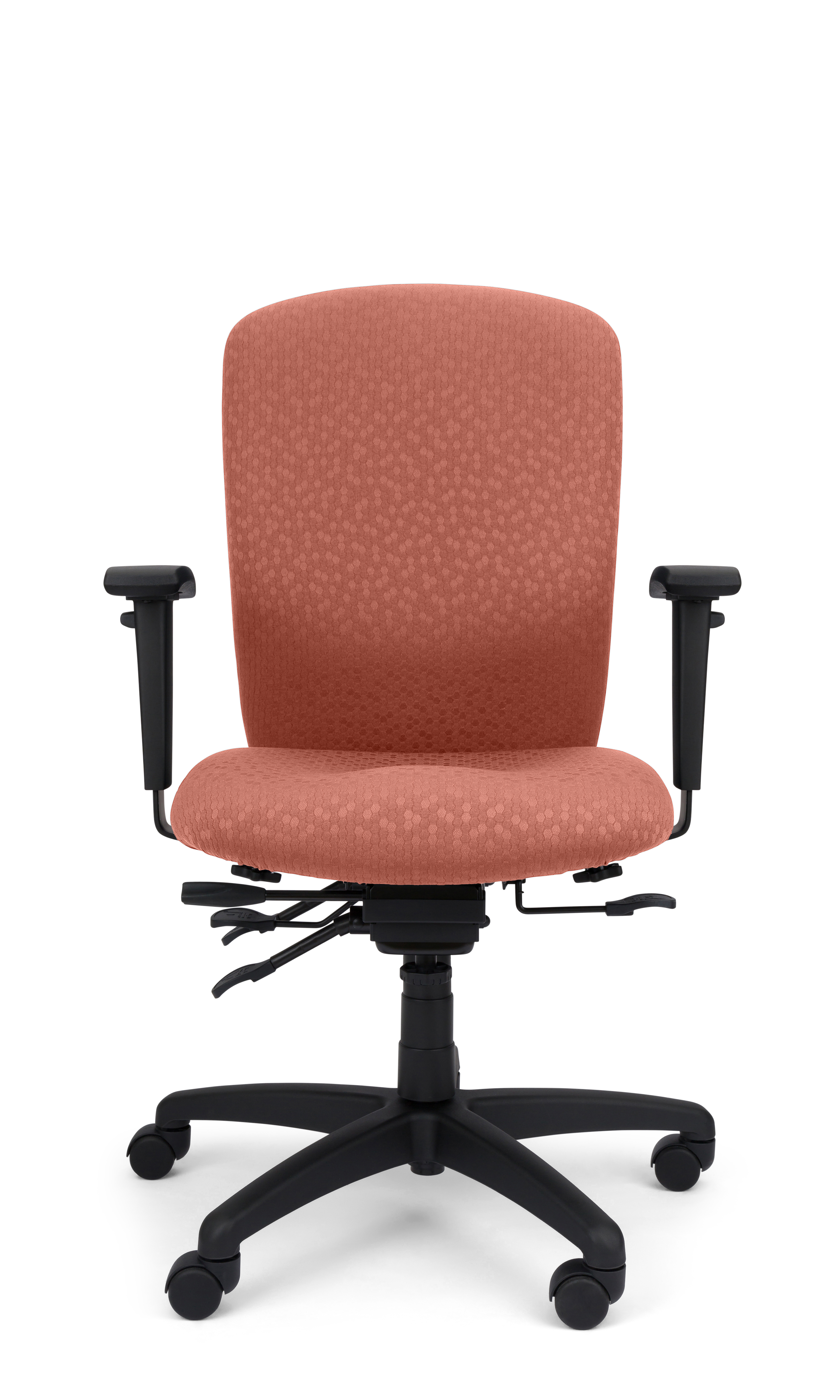 Rainier Cloud - Ergo-Comfort Task Chair
