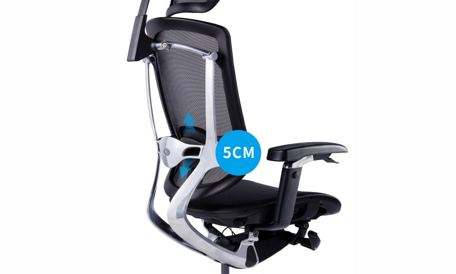 Advanced Ergonomic Chair with Headrest