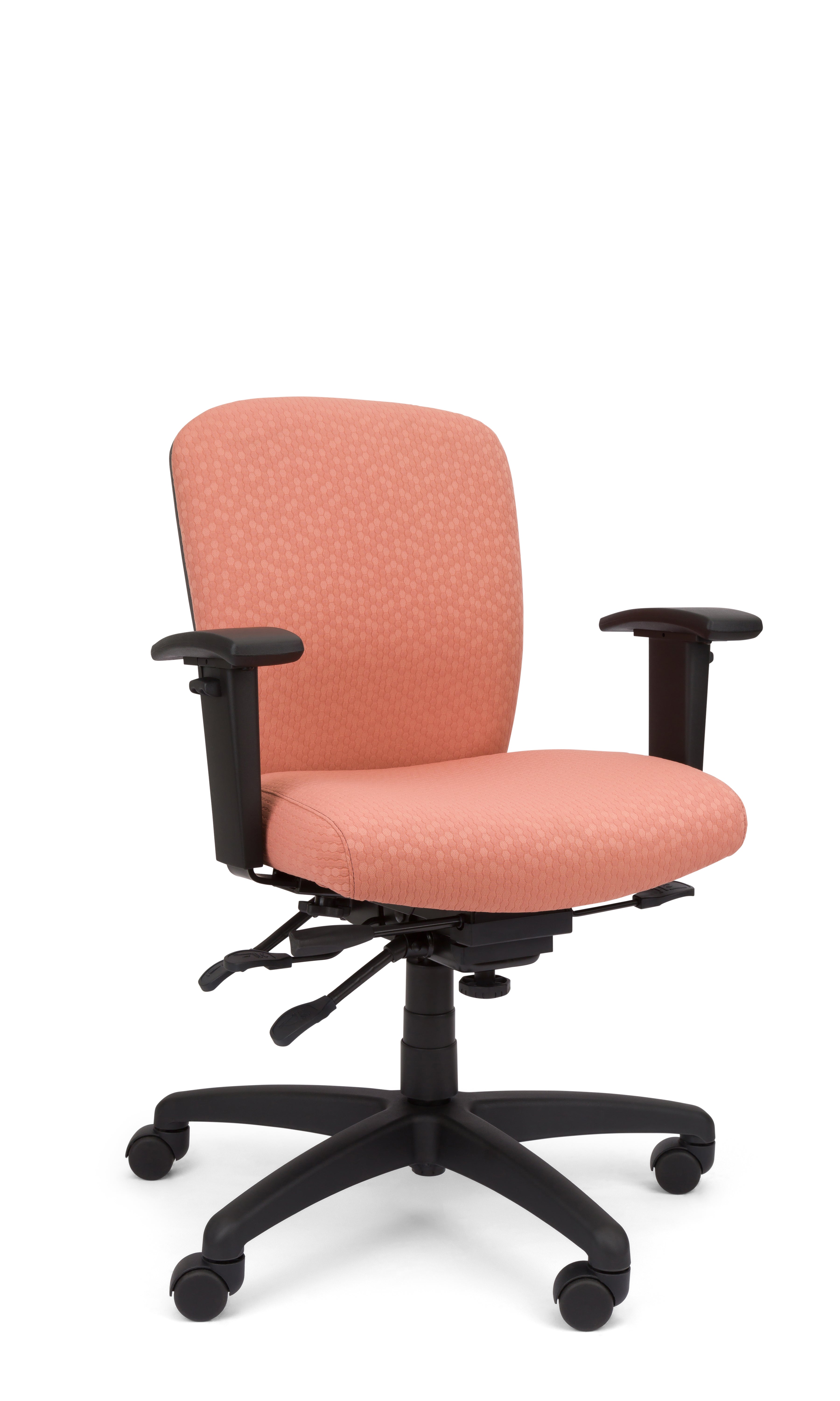 Rainier Cloud - Ergo-Comfort Task Chair