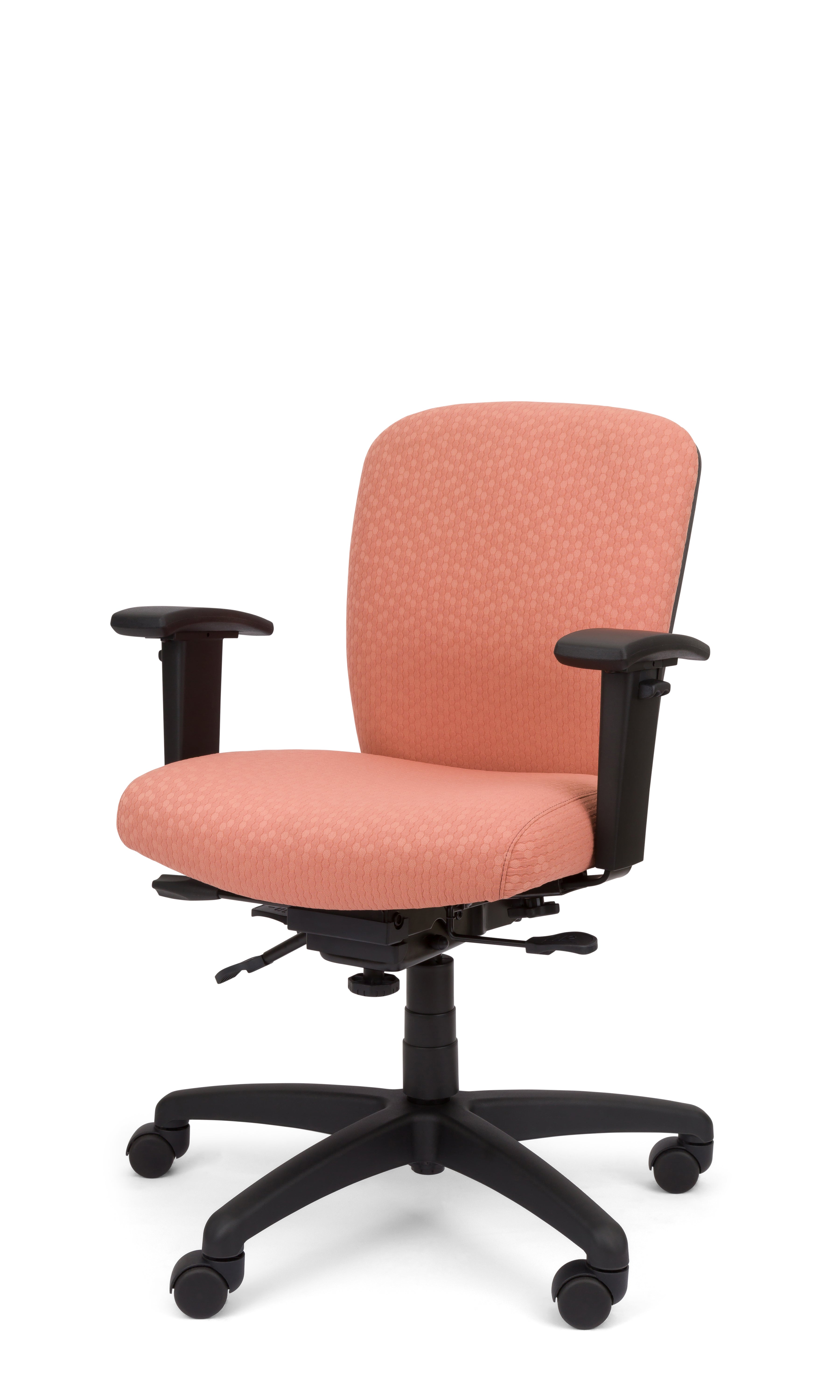 Rainier Cloud - Ergo-Comfort Task Chair