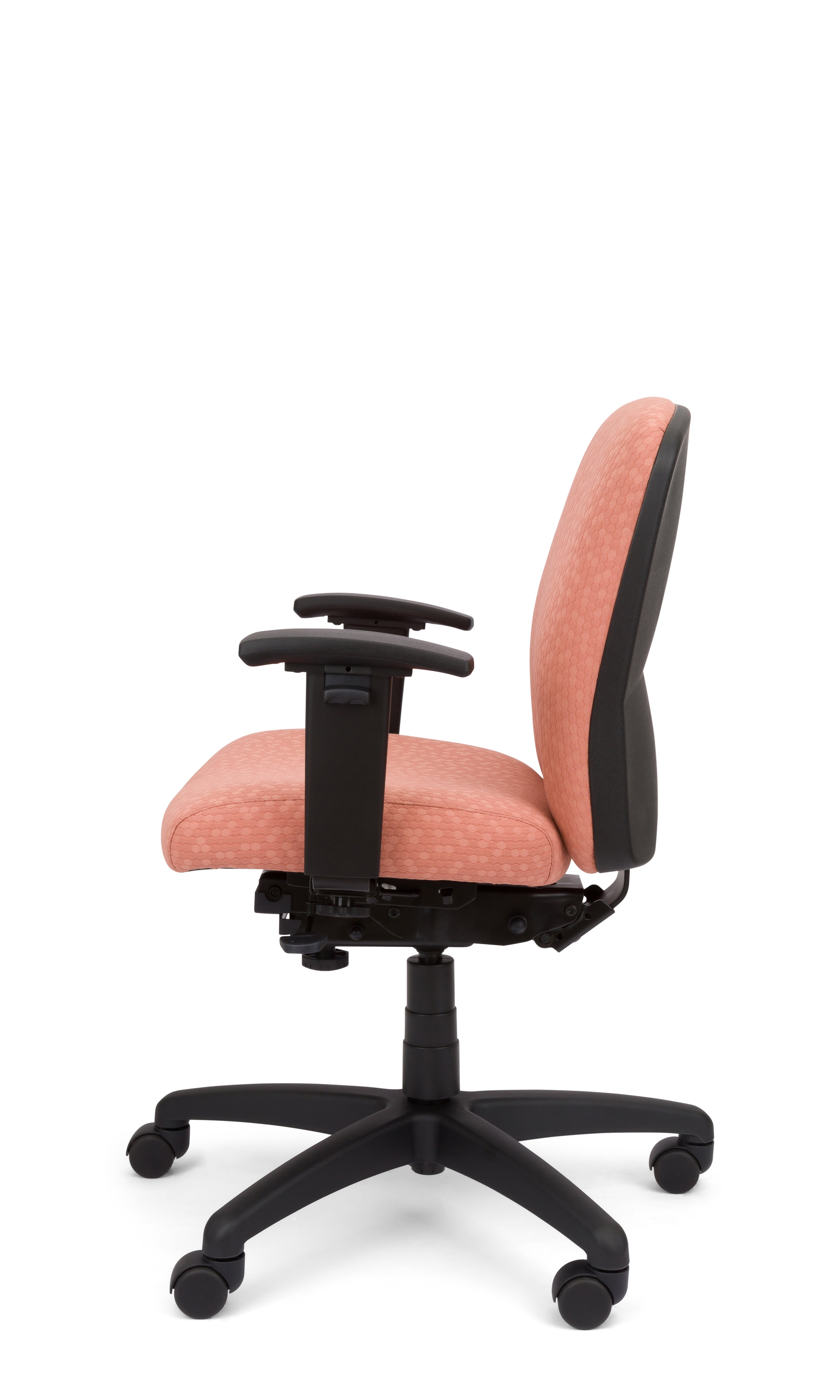 Rainier Cloud - Ergo-Comfort Task Chair