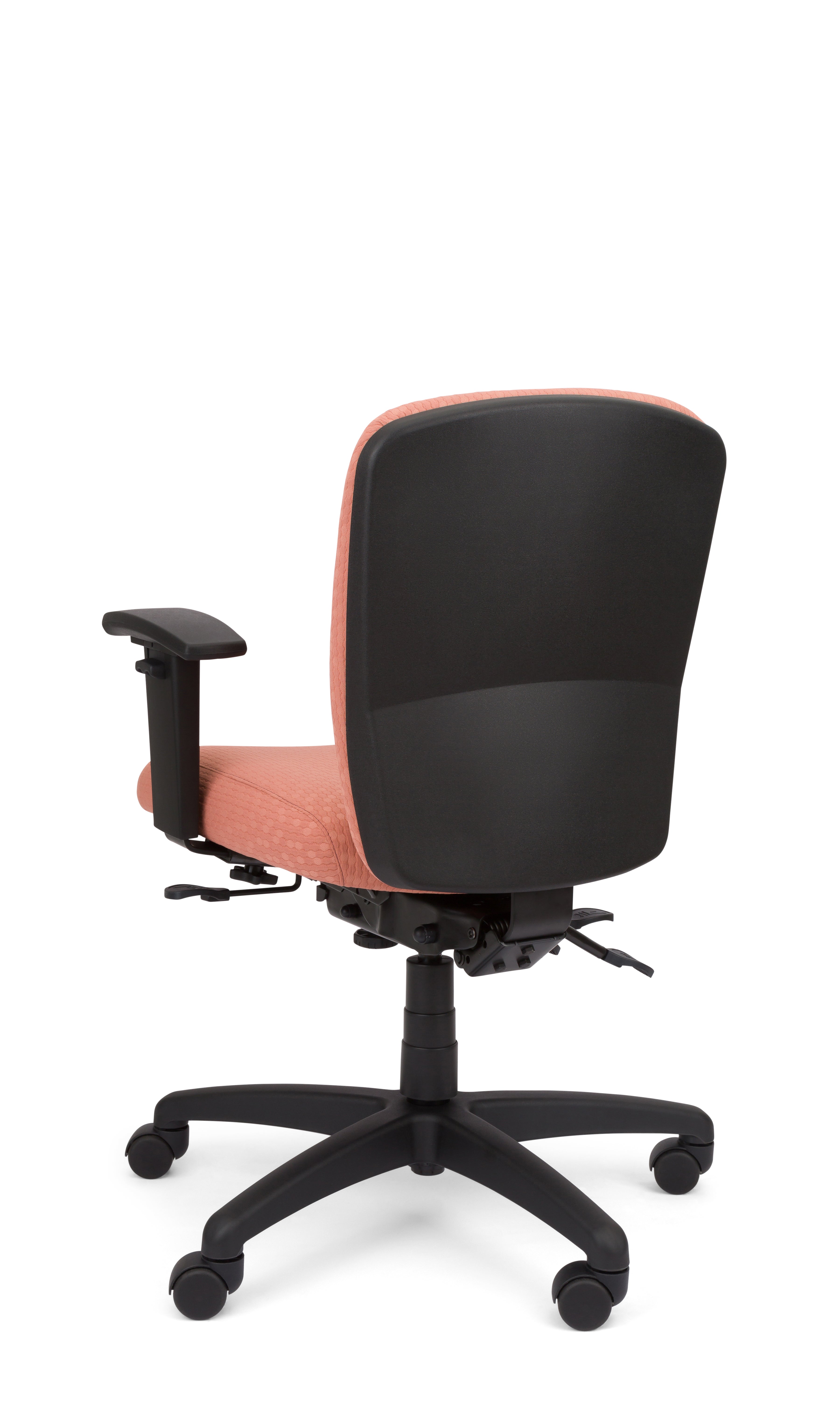 Rainier Cloud - Ergo-Comfort Task Chair
