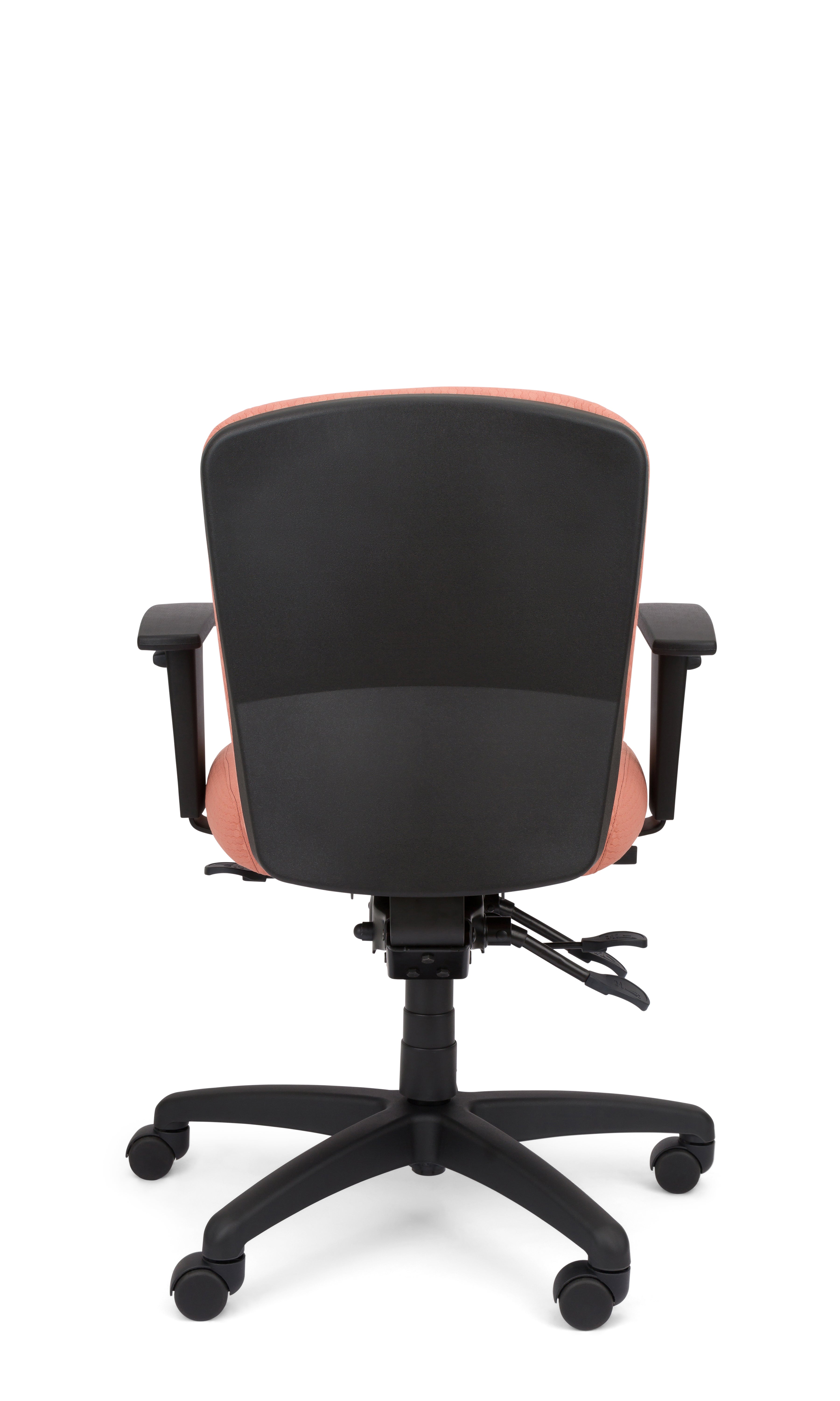Rainier Cloud - Ergo-Comfort Task Chair
