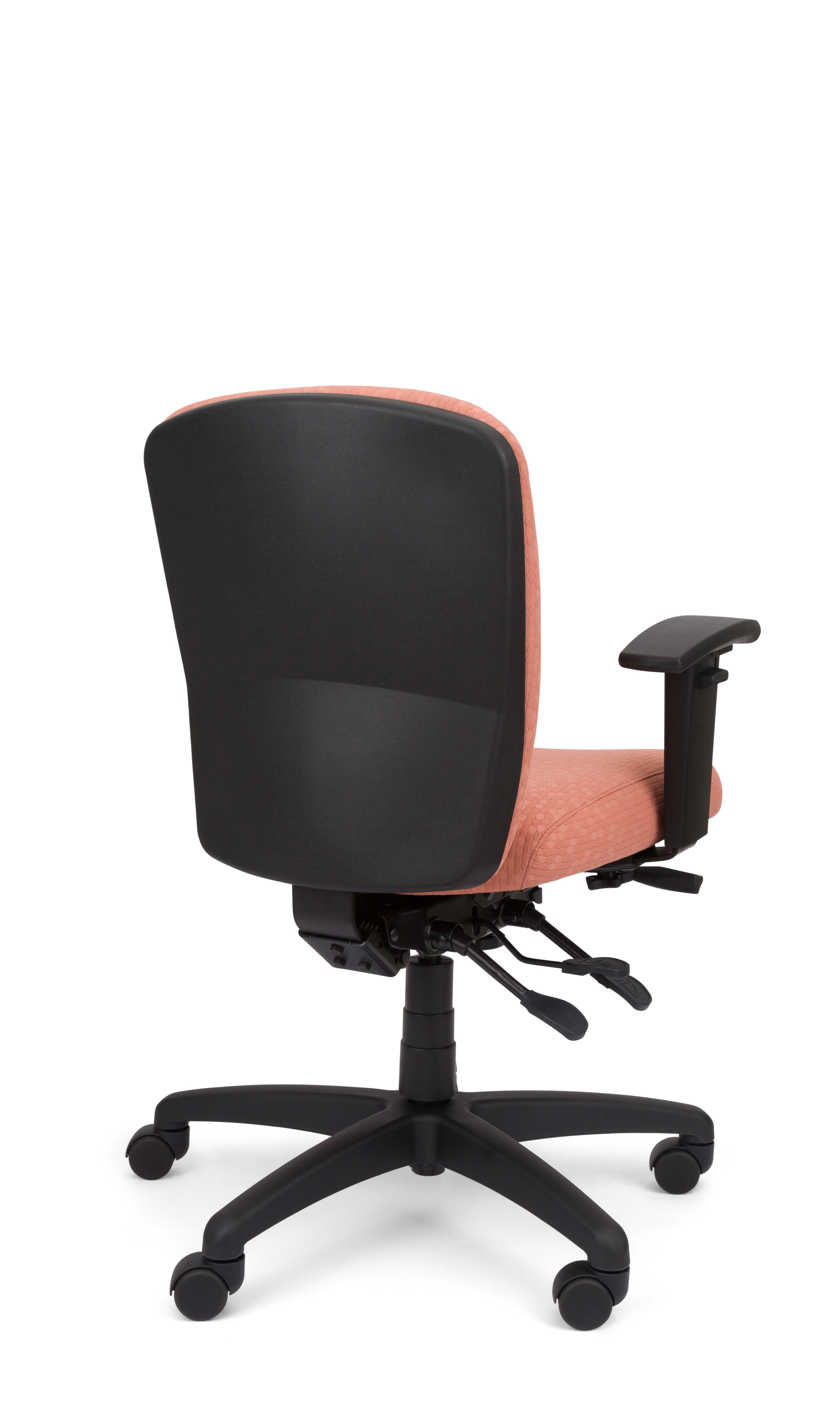 Rainier Cloud - Ergo-Comfort Task Chair