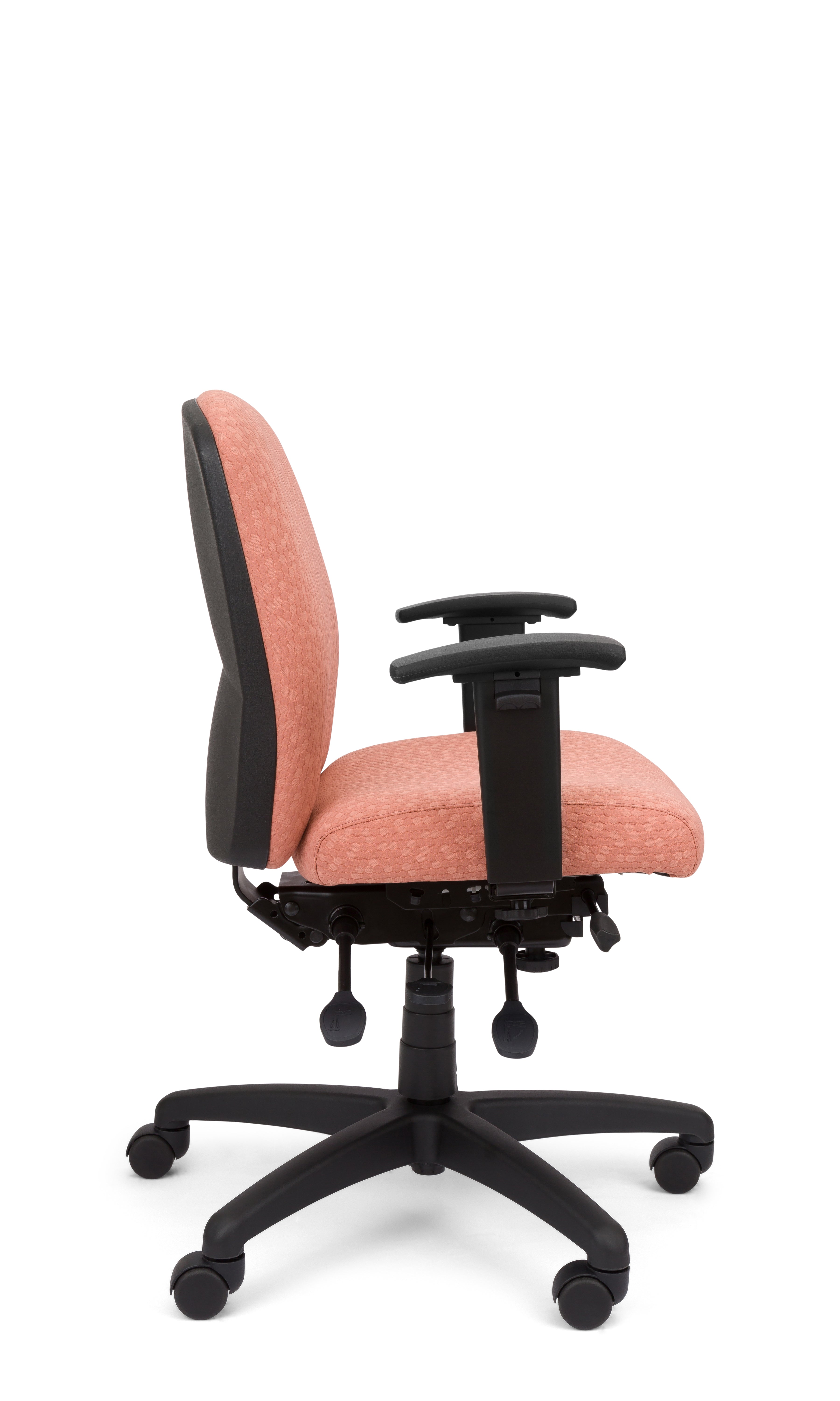 Rainier Cloud - Ergo-Comfort Task Chair