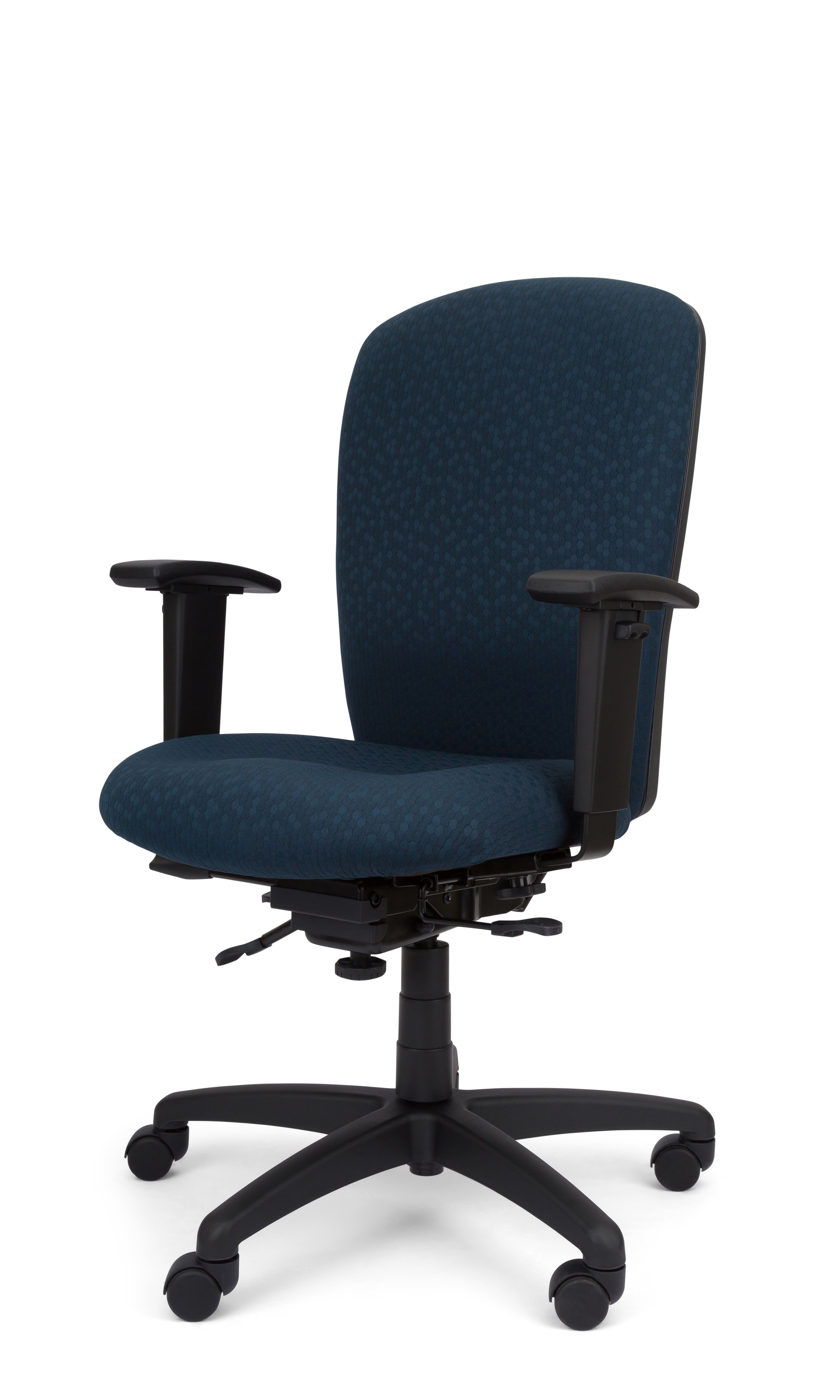 Rainier Cloud - Ergo-Comfort Task Chair
