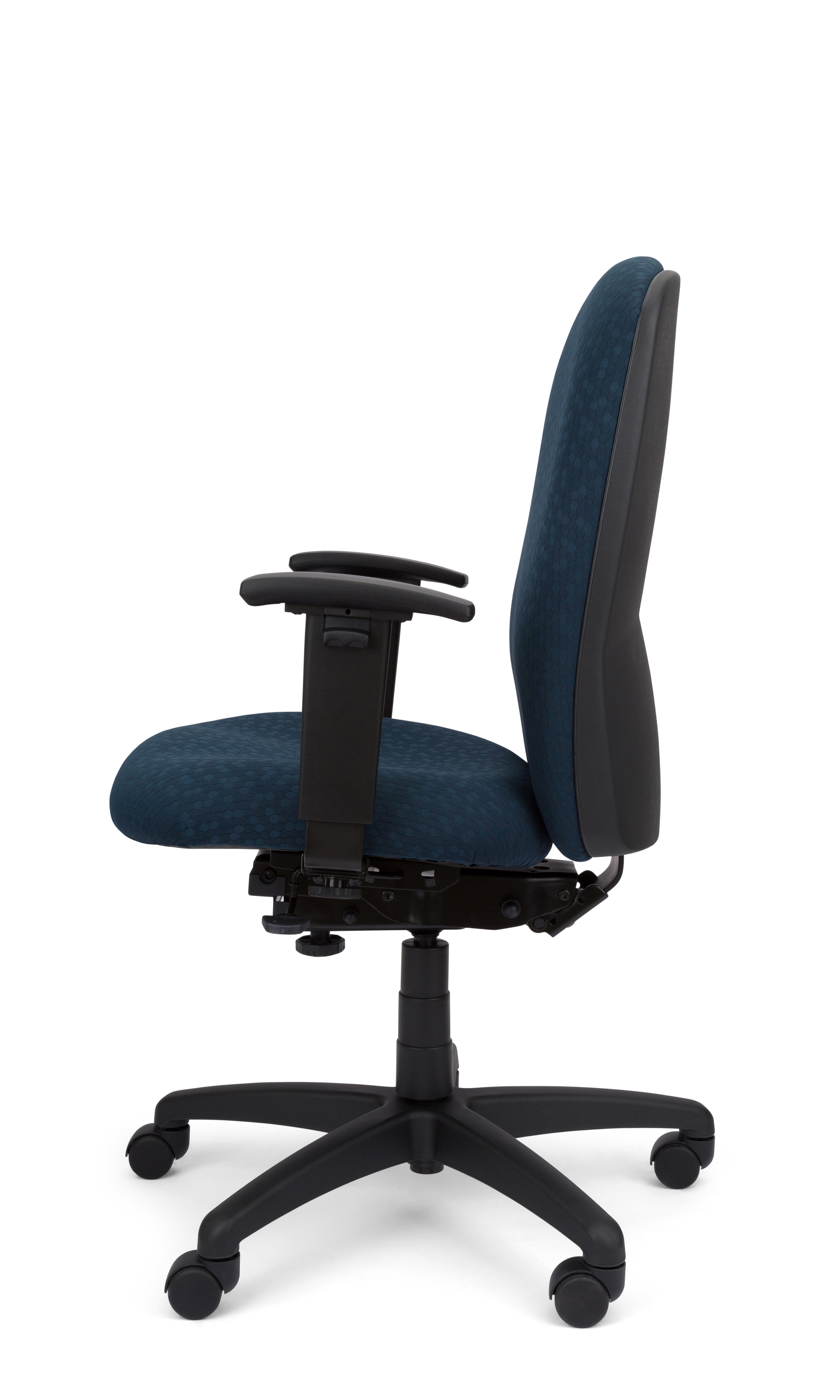 Rainier Cloud - Ergo-Comfort Task Chair
