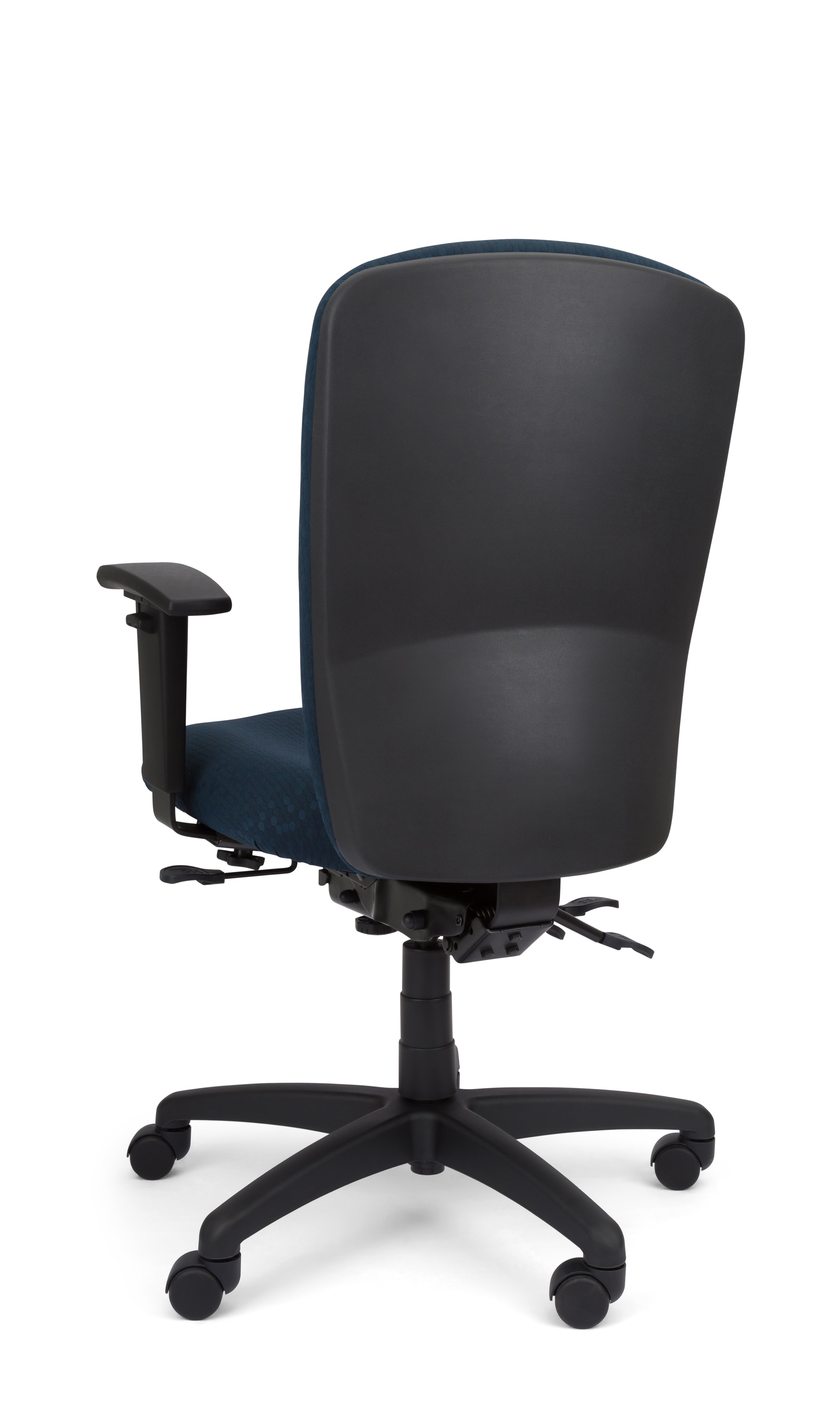 Rainier Cloud - Ergo-Comfort Task Chair