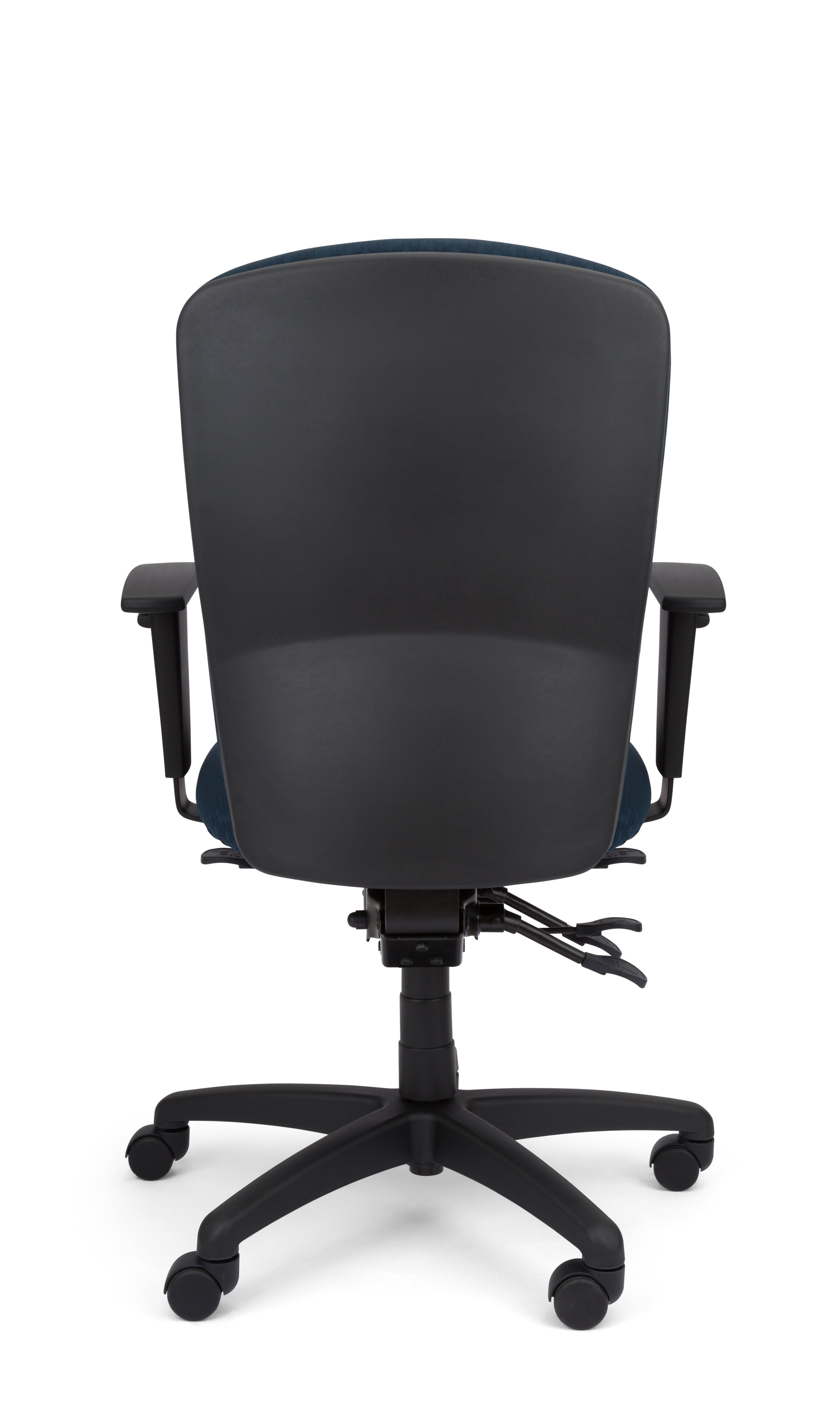 Rainier Cloud - Ergo-Comfort Task Chair