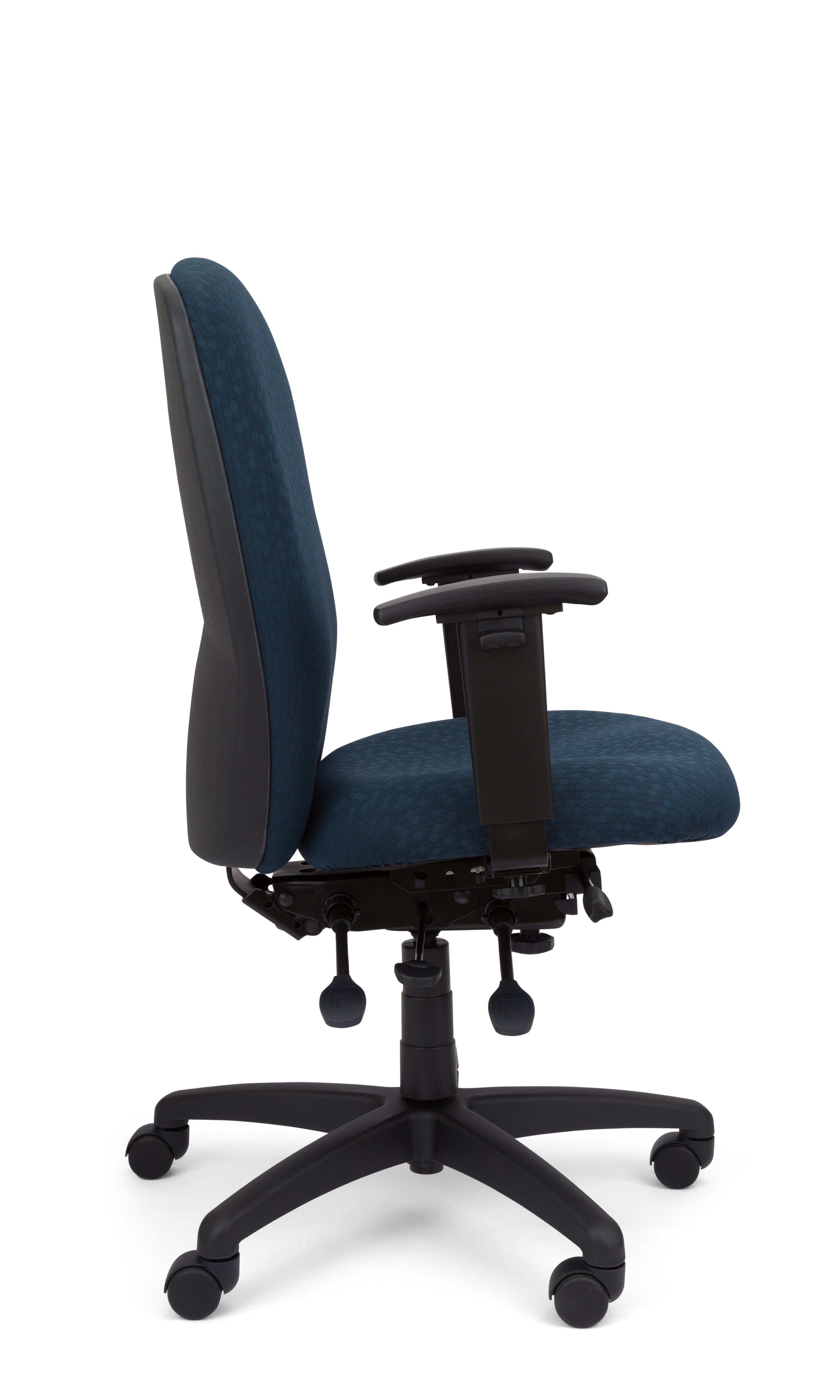 Rainier Cloud - Ergo-Comfort Task Chair