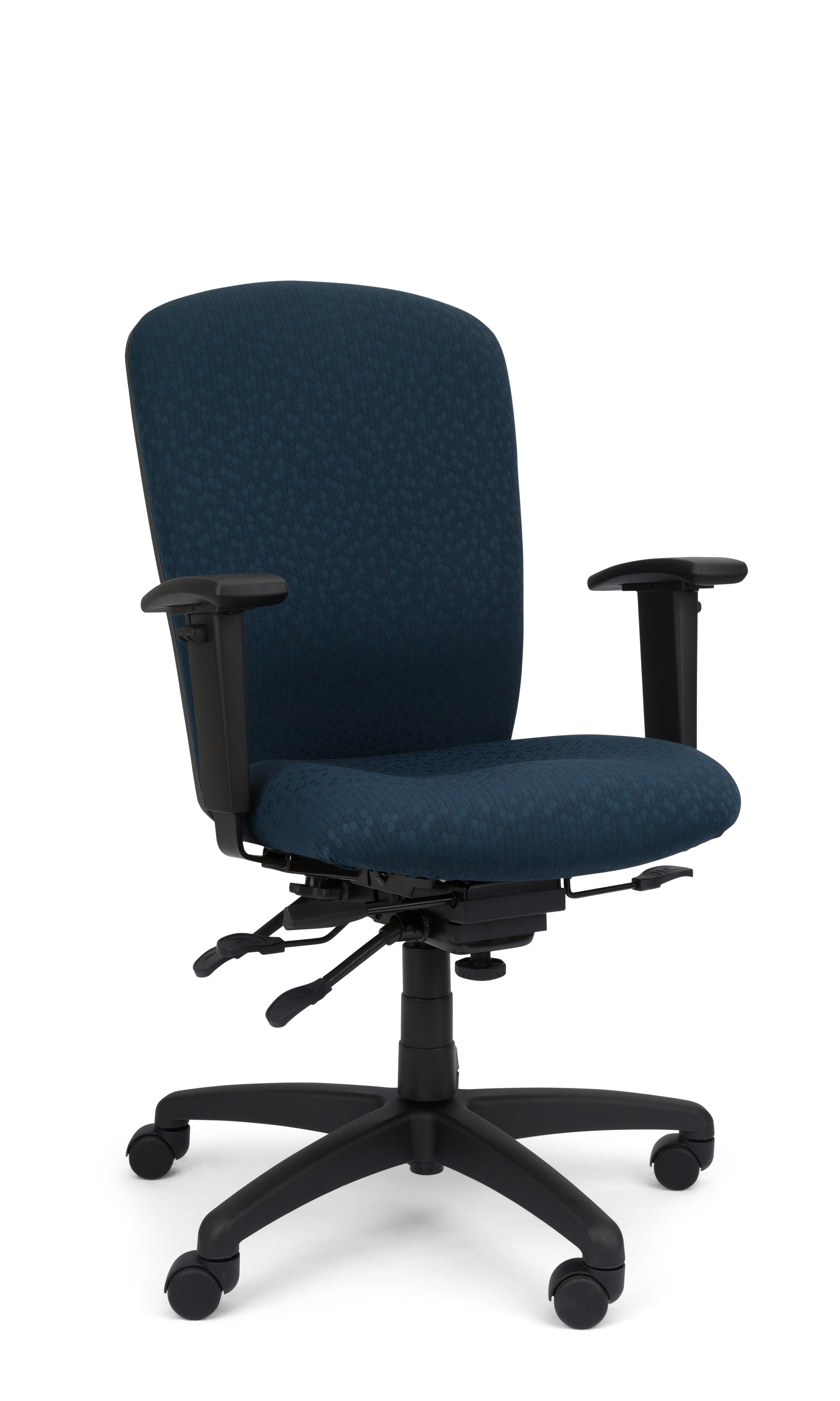 Rainier Cloud - Ergo-Comfort Task Chair