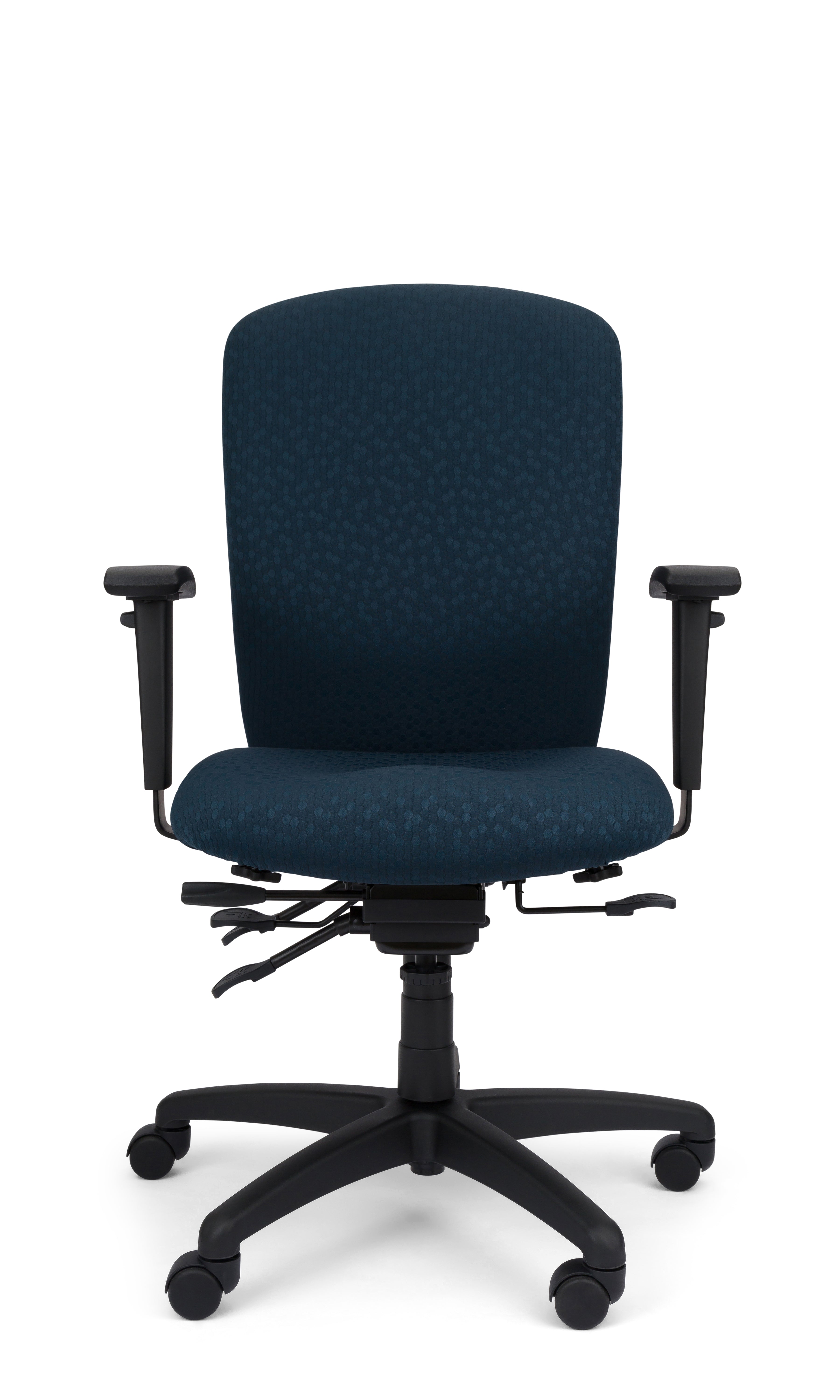 Rainier Cloud - Ergo-Comfort Task Chair