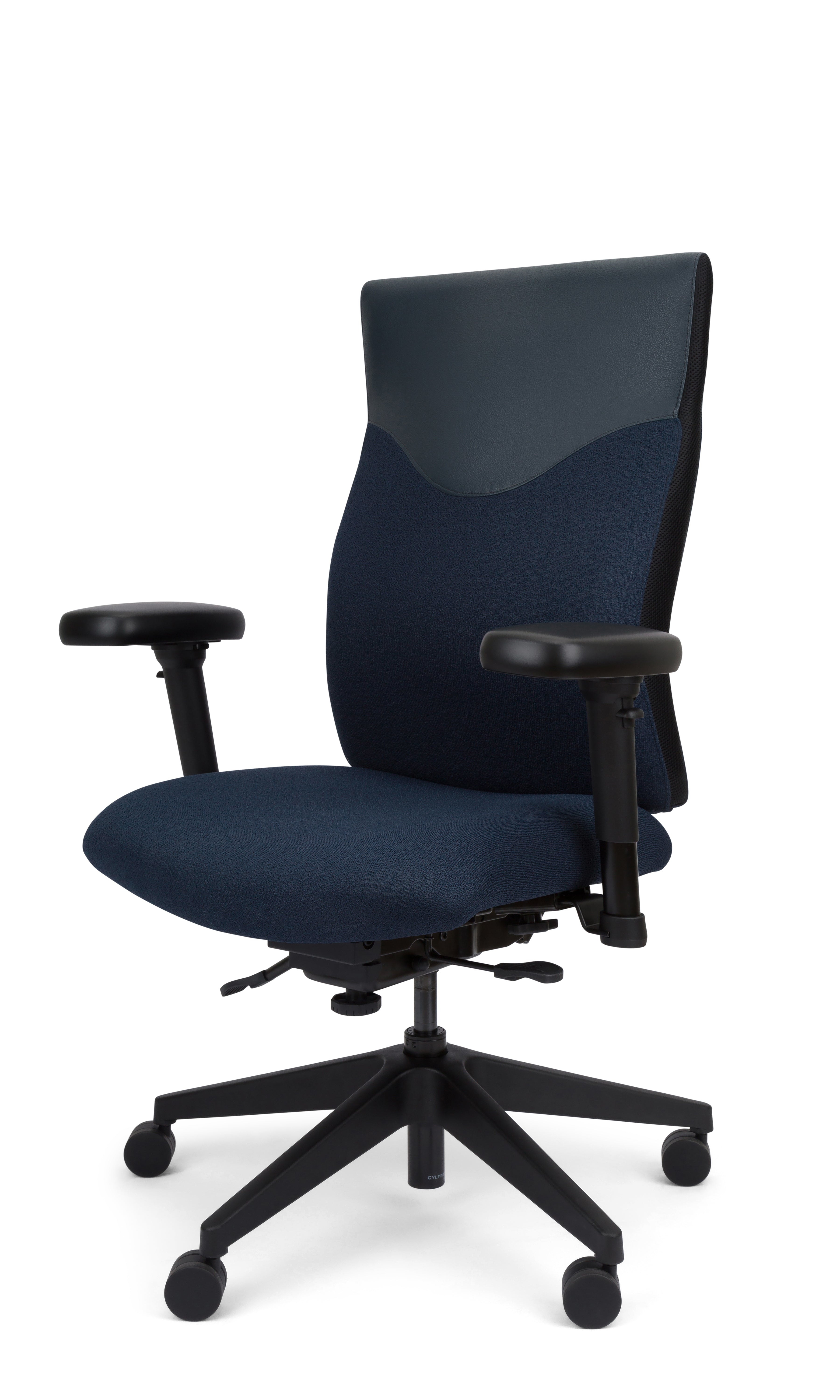 Trademark - Supreme Ergonomic Office Chair
