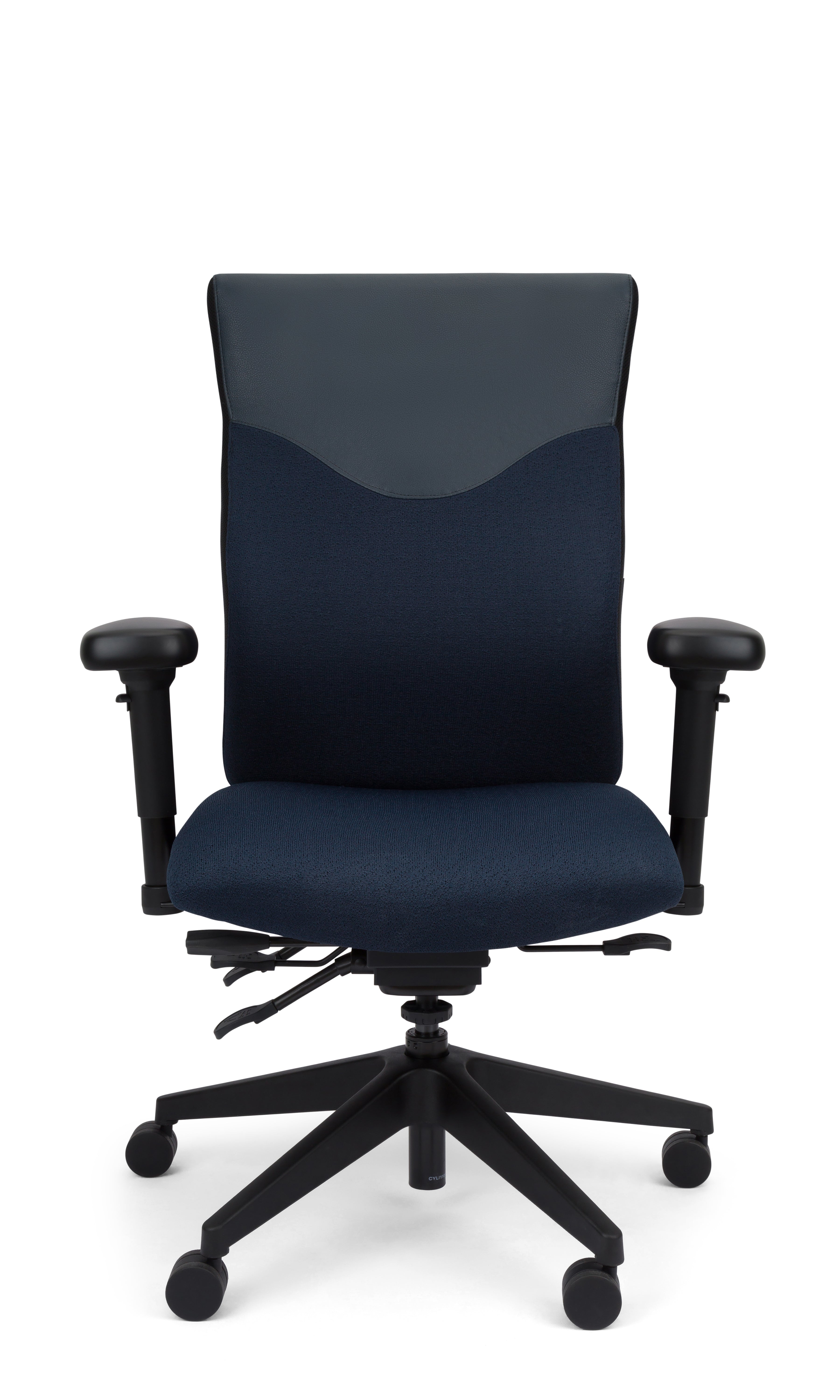Trademark - Supreme Ergonomic Office Chair