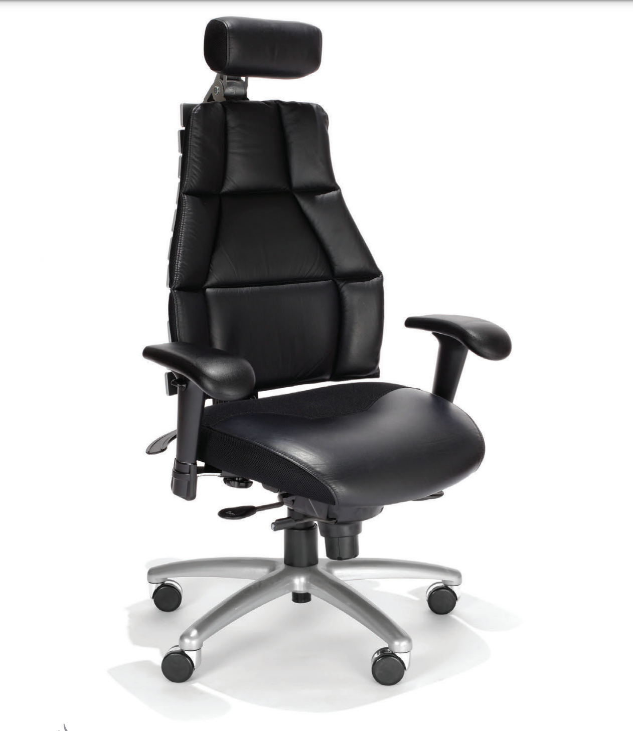 Verte - Elite Ergonomic Chair